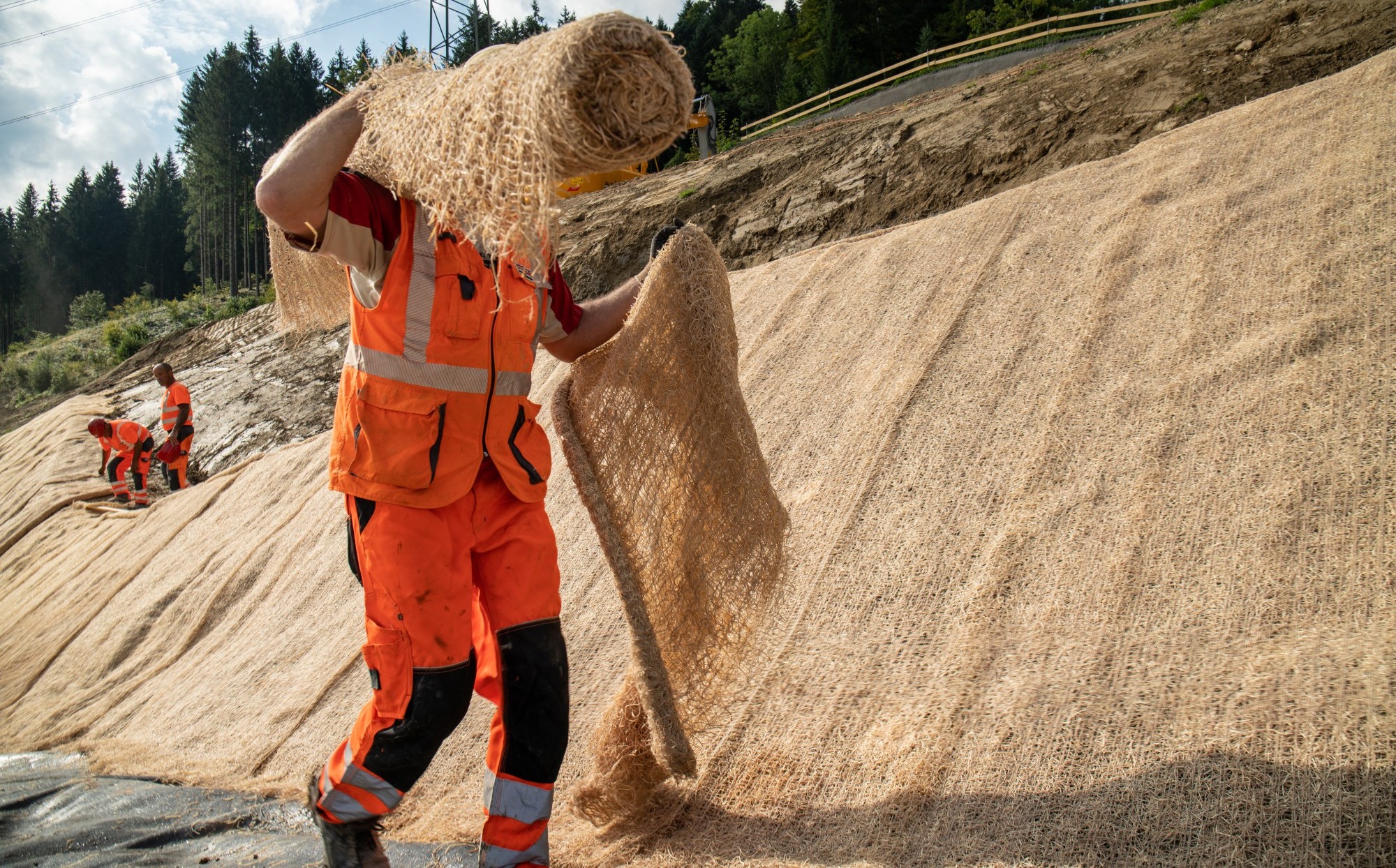 Schweizer Holzwolle aus Wattwil von der Lindner Suisse AG im Firmenporträt.