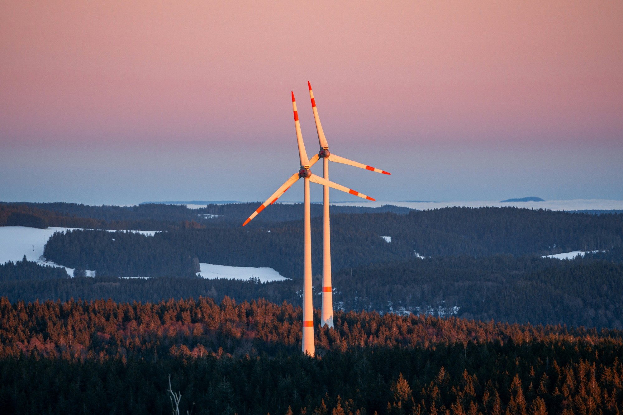 Windräder im Wald