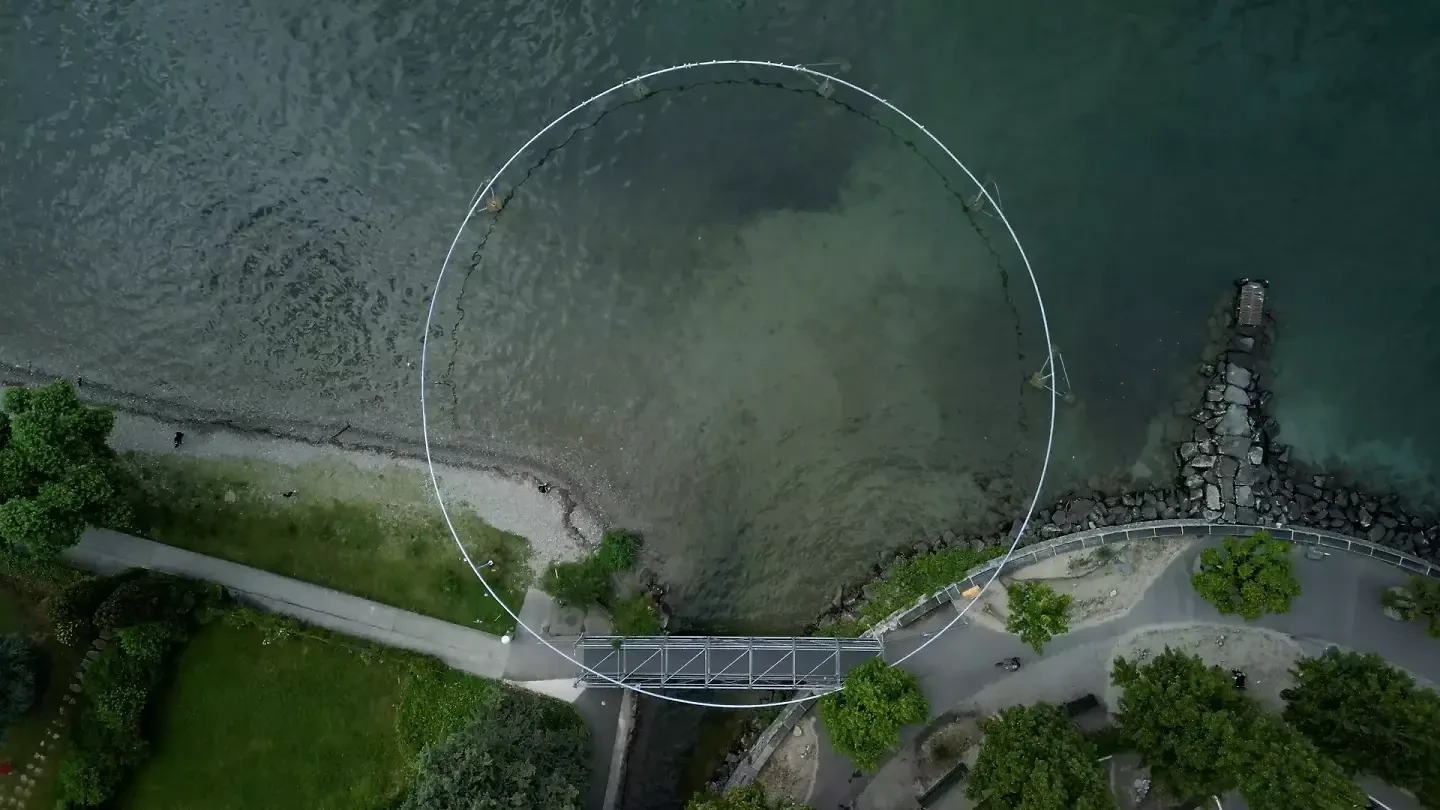 Swiss Arc Award Sieger Kreis der Voegel