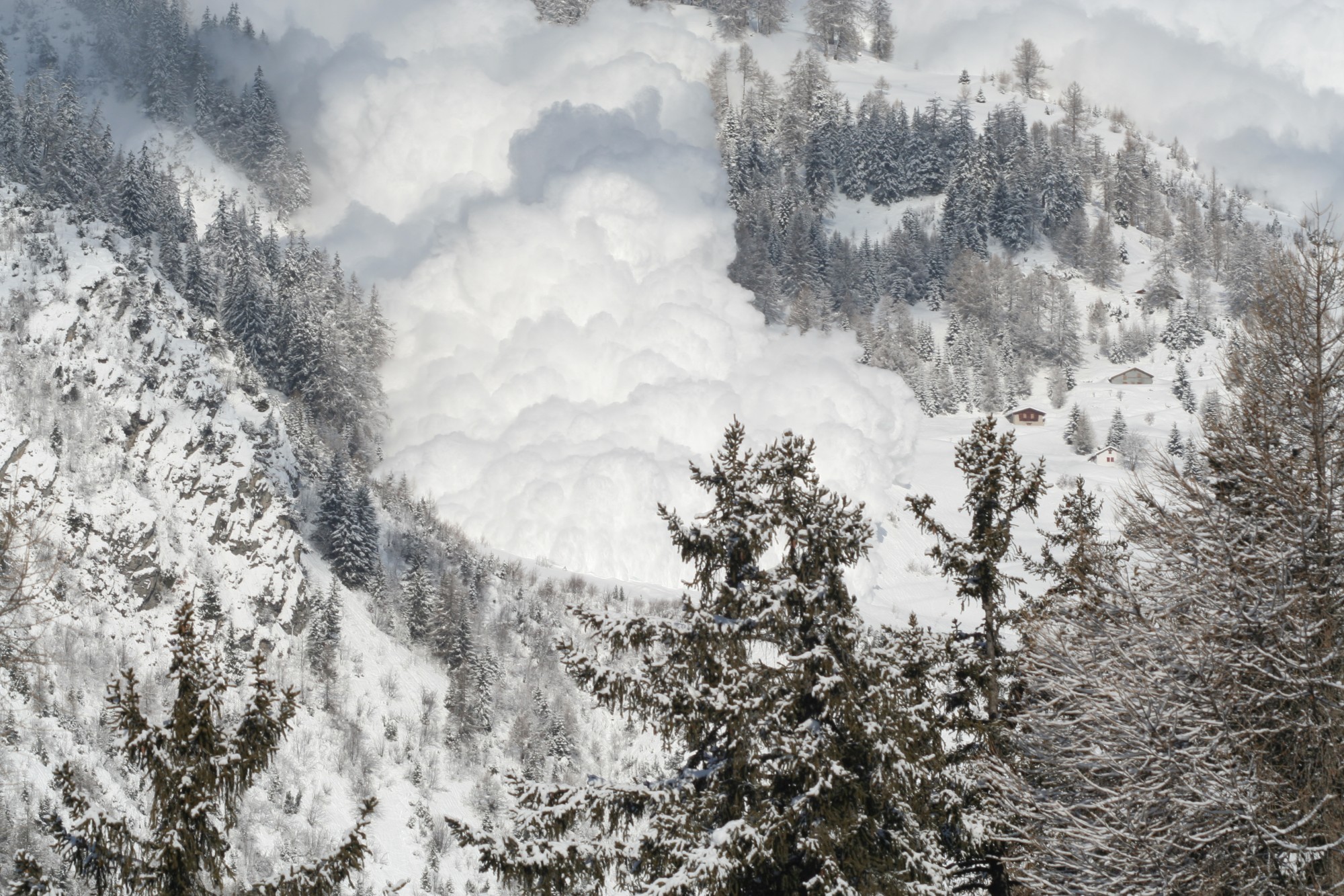 Eine Staublawine im Bergwald.