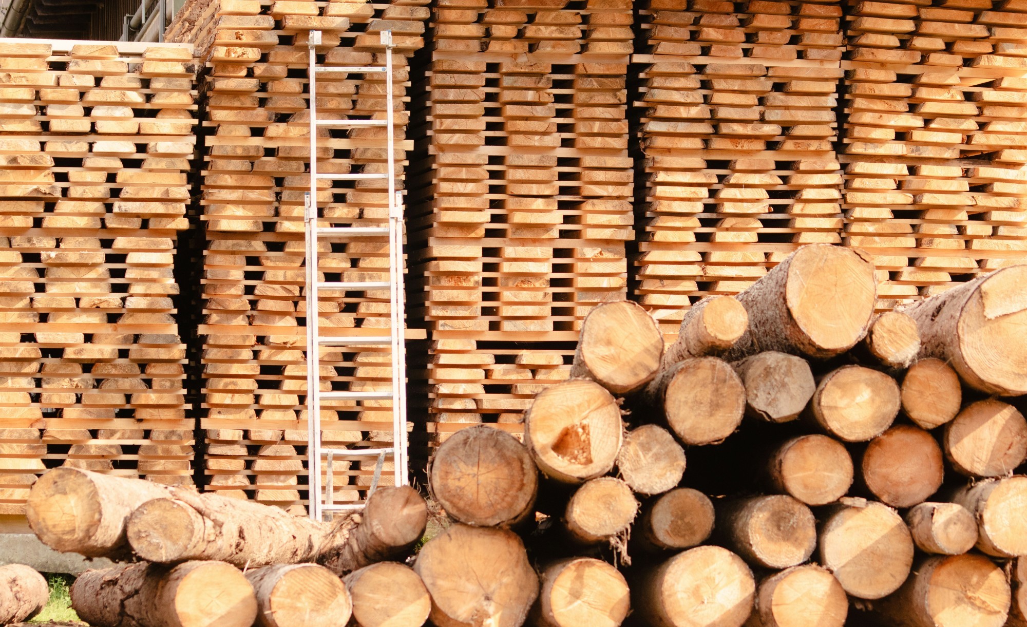 Bretter und Baumstämme (Symbolbild)