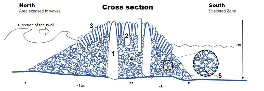 Querschnitt der Mauer