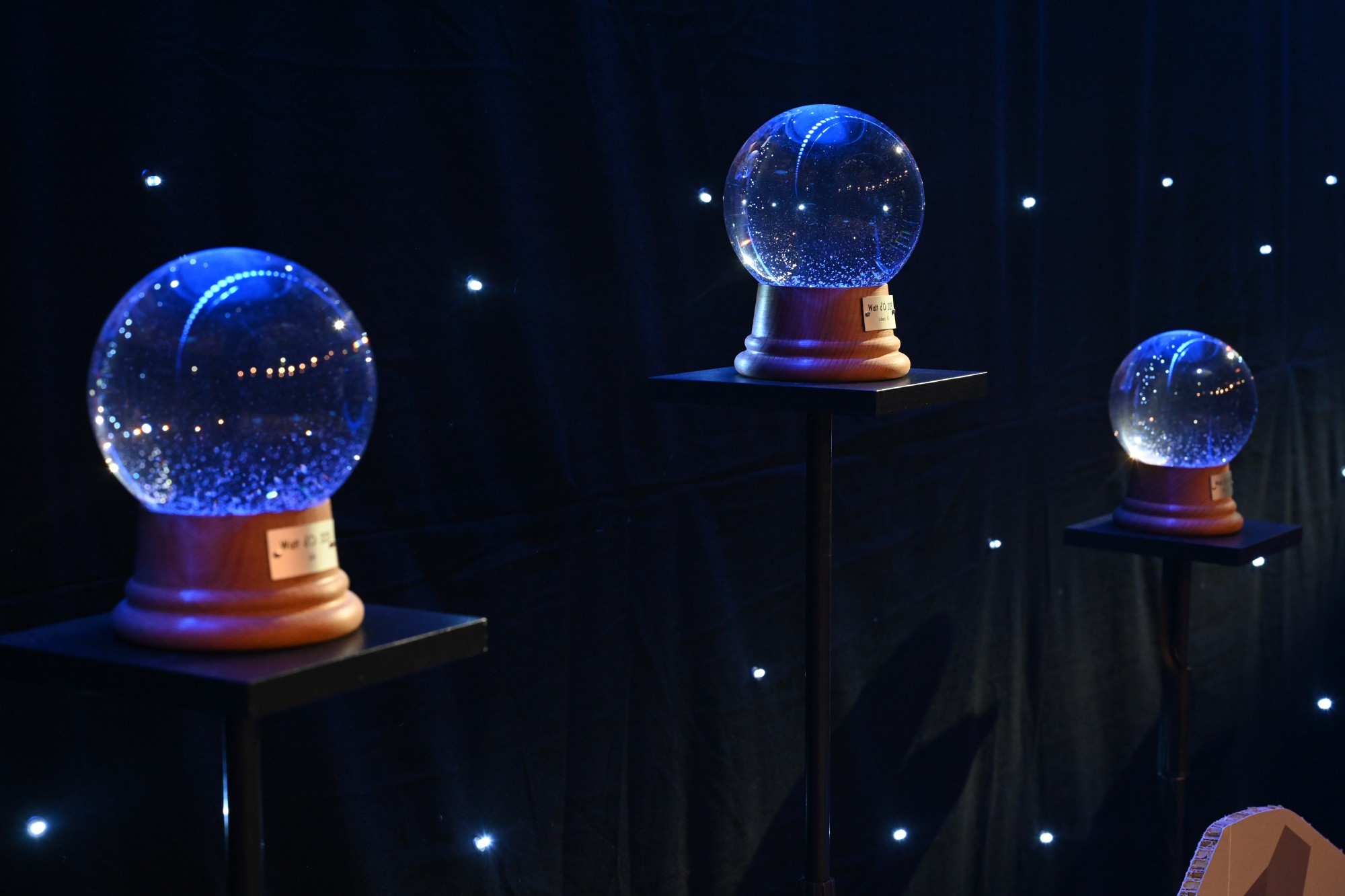 watt-dor-2025_54255642477_o