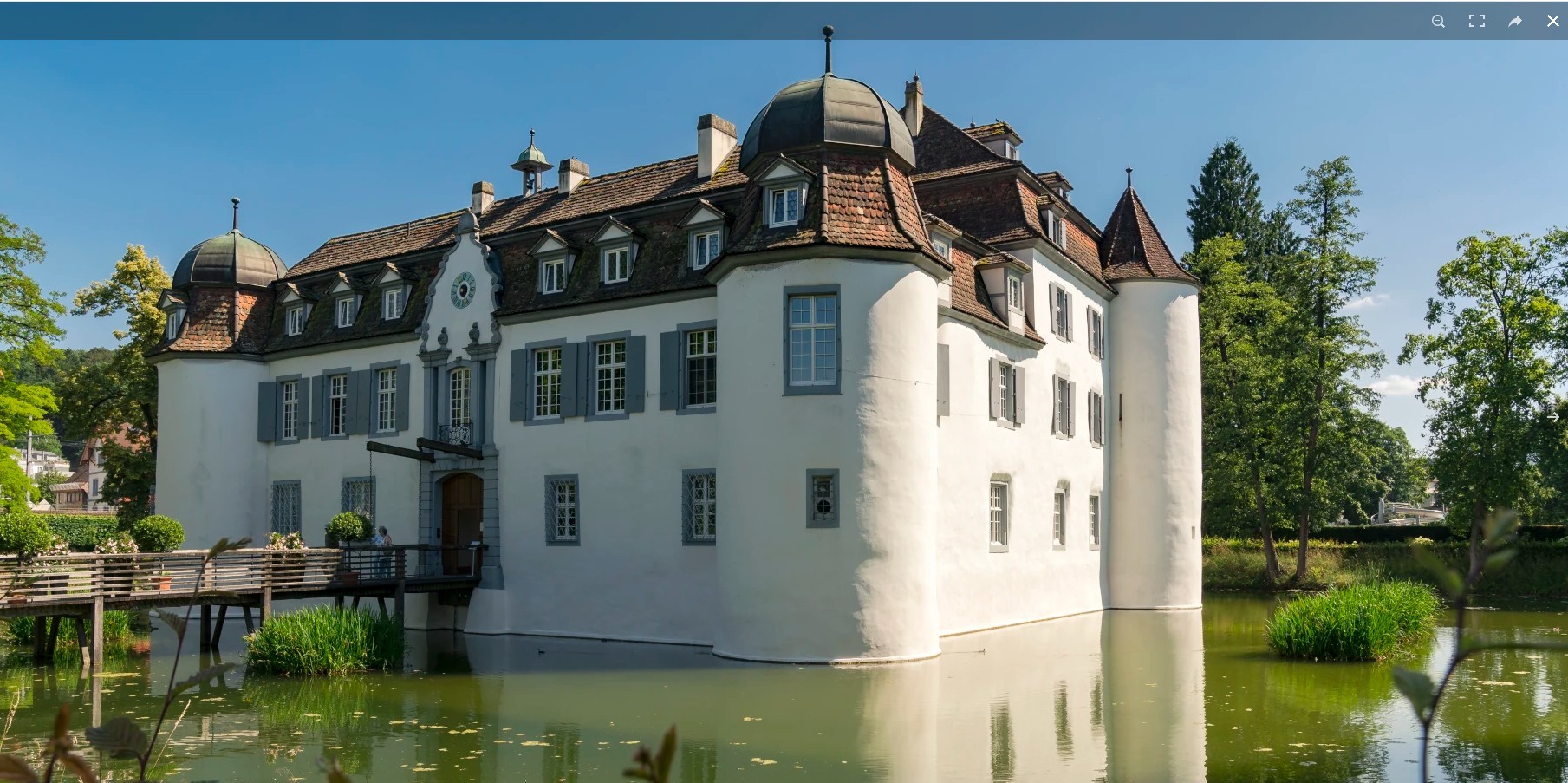 weiherschloss bottmingen