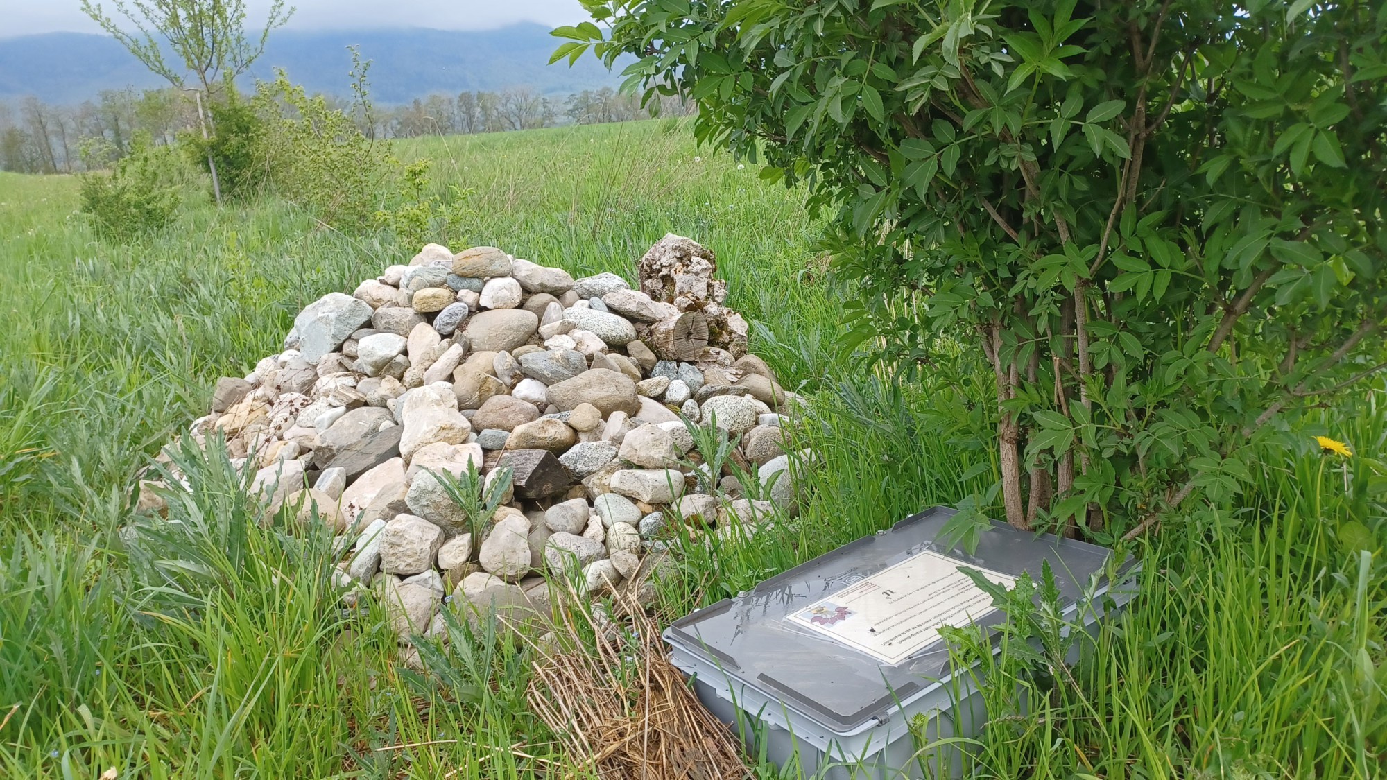 Steinhaufen mit Kamerabox zum Nachweis von Hermelinen und Mauswieseln