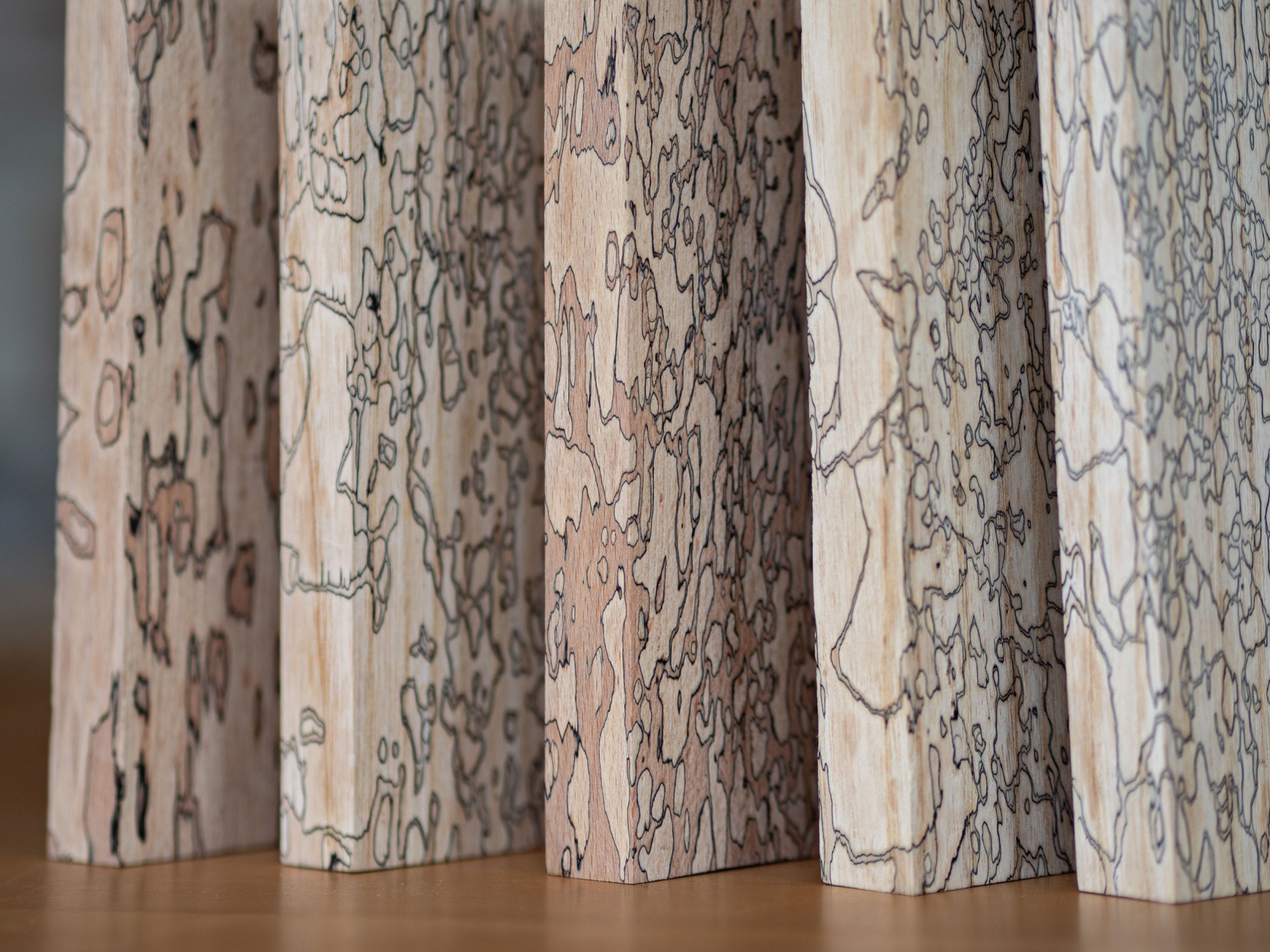 Mamorholz mit Pilz-Verästelungen