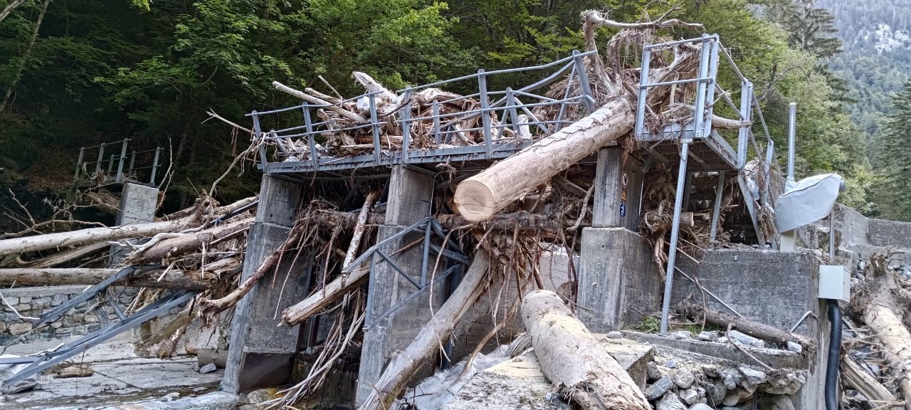 d5146418-efa9-4c0f-9998-4165ae84788c.JPG.imagegallery.82.1280