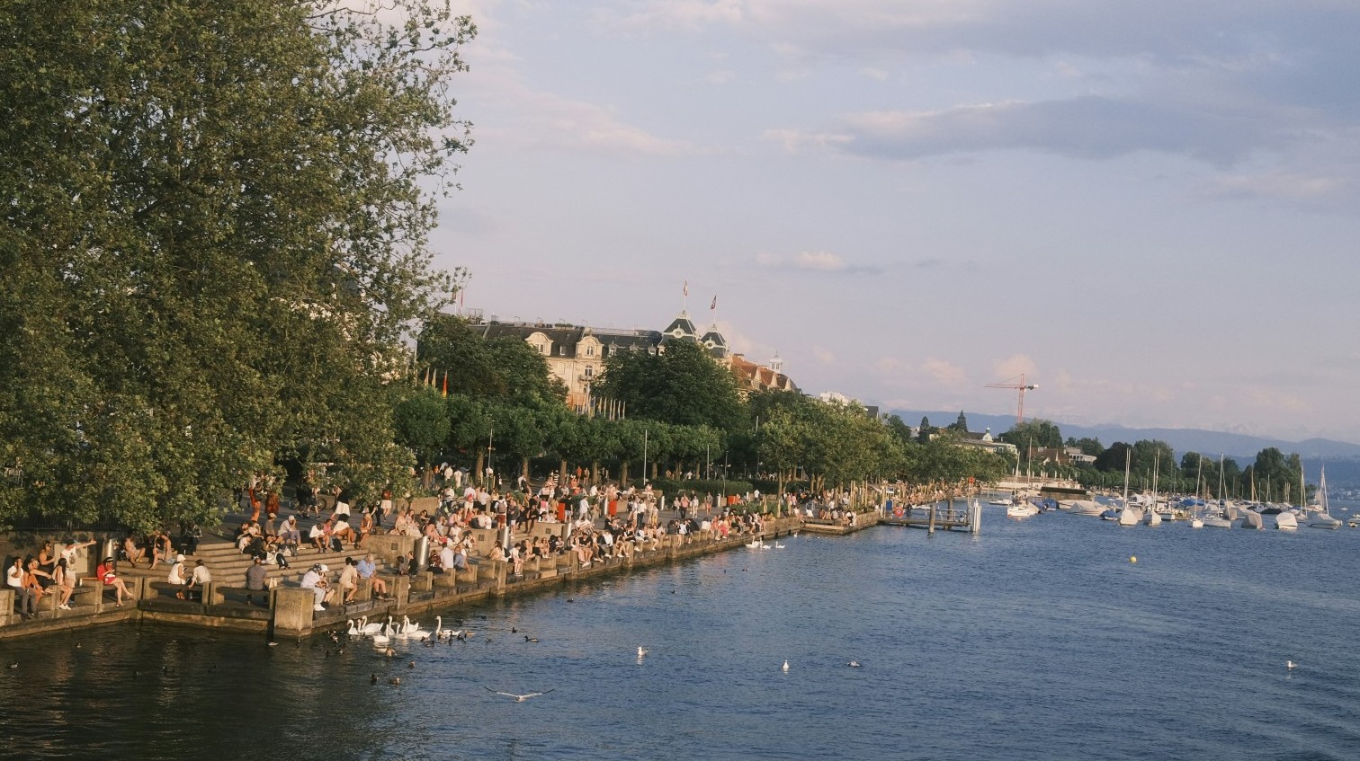 Passanten am Zürcher Seebecken mit Schwänen und Enten