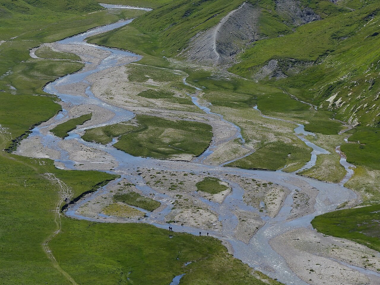 Schwemmebene der Greina