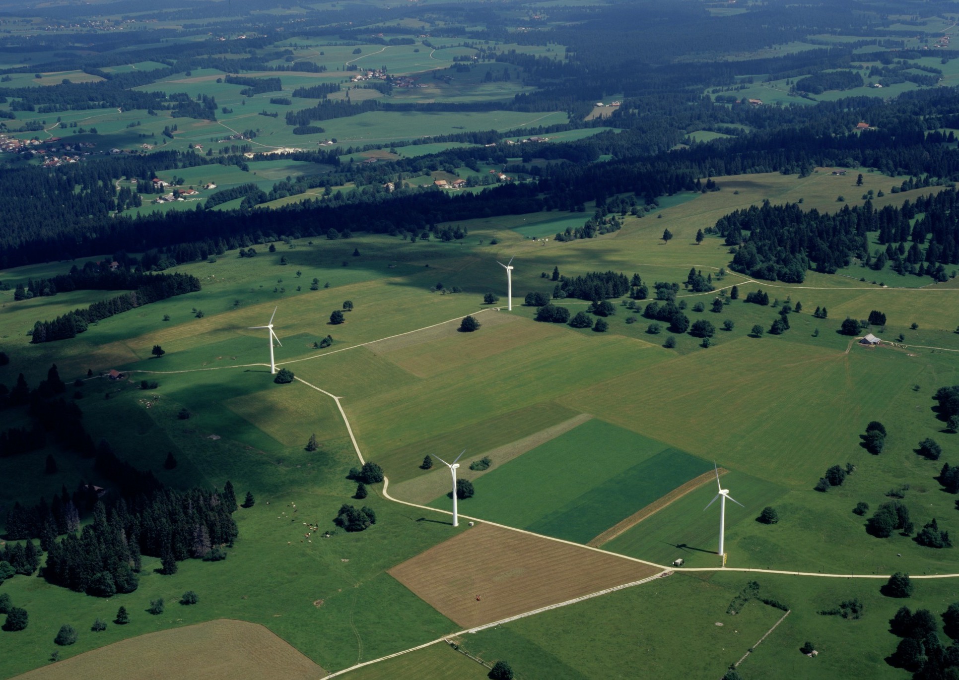 DES_06-0139-04-Print