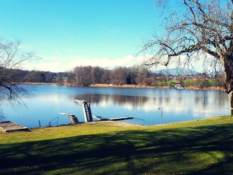 Sprungturm-am-Burgäschisee