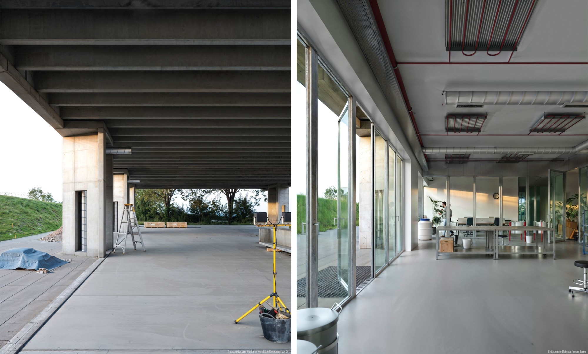 Siegerprojekt für Bienenforschungszentrum in Posieux Innenraum