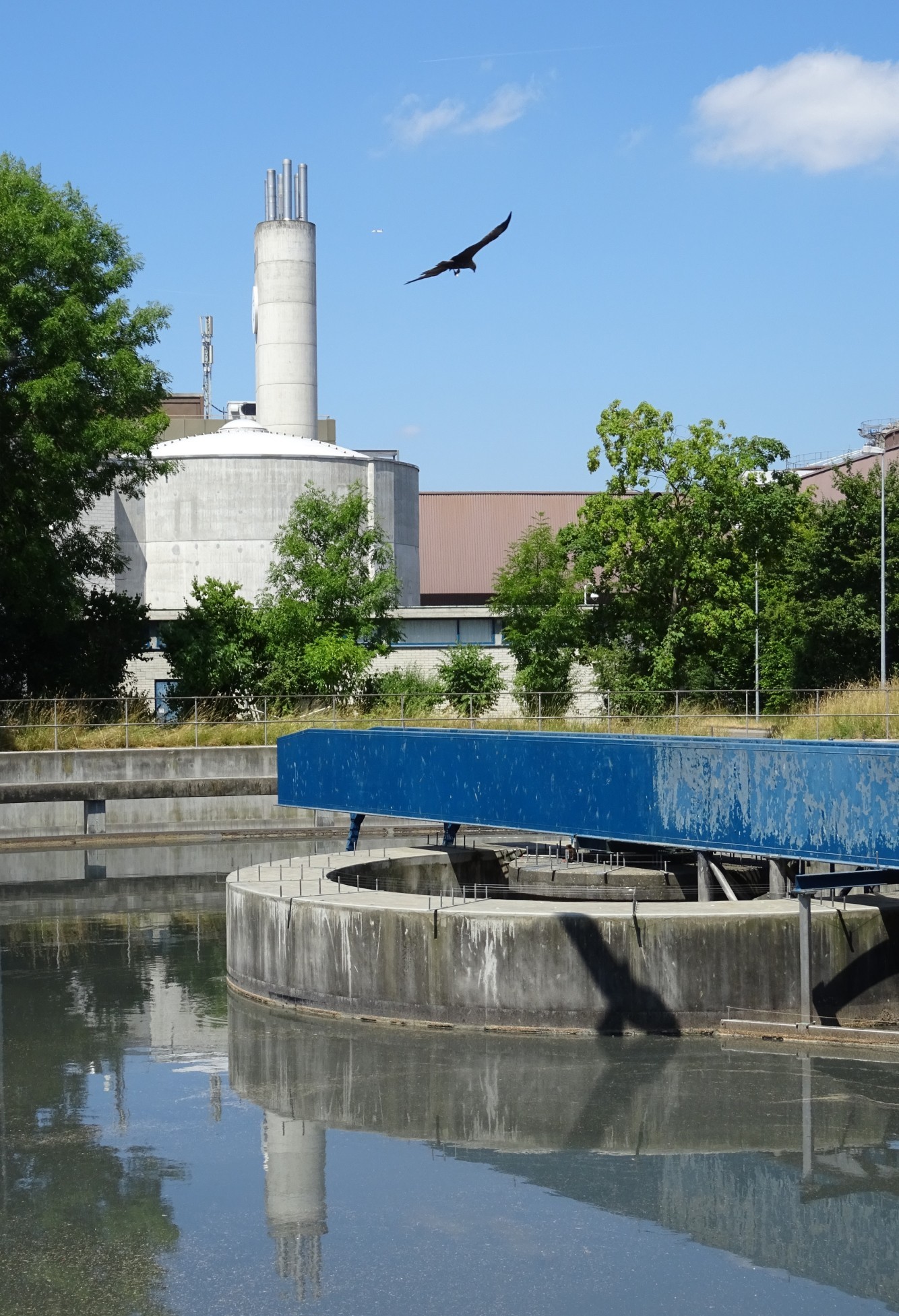 Kläranlage Werdhölzli im 2014