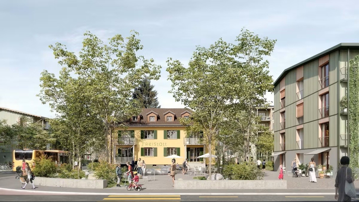 neue freistadt