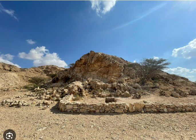 Stephanie Veith - Institute for Heritage Management