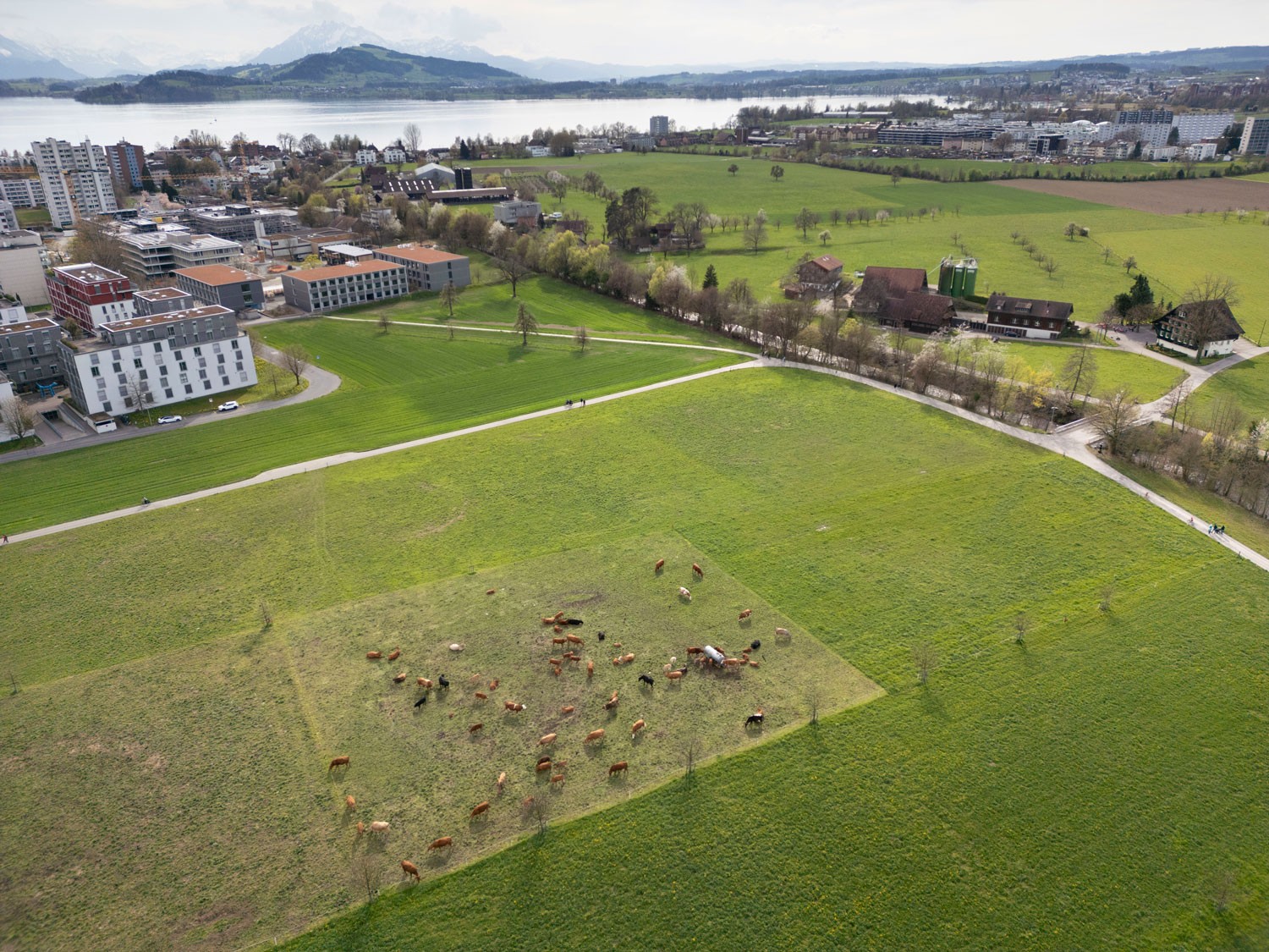 Lorzenebene Zug Landschaft des Jahres 2026