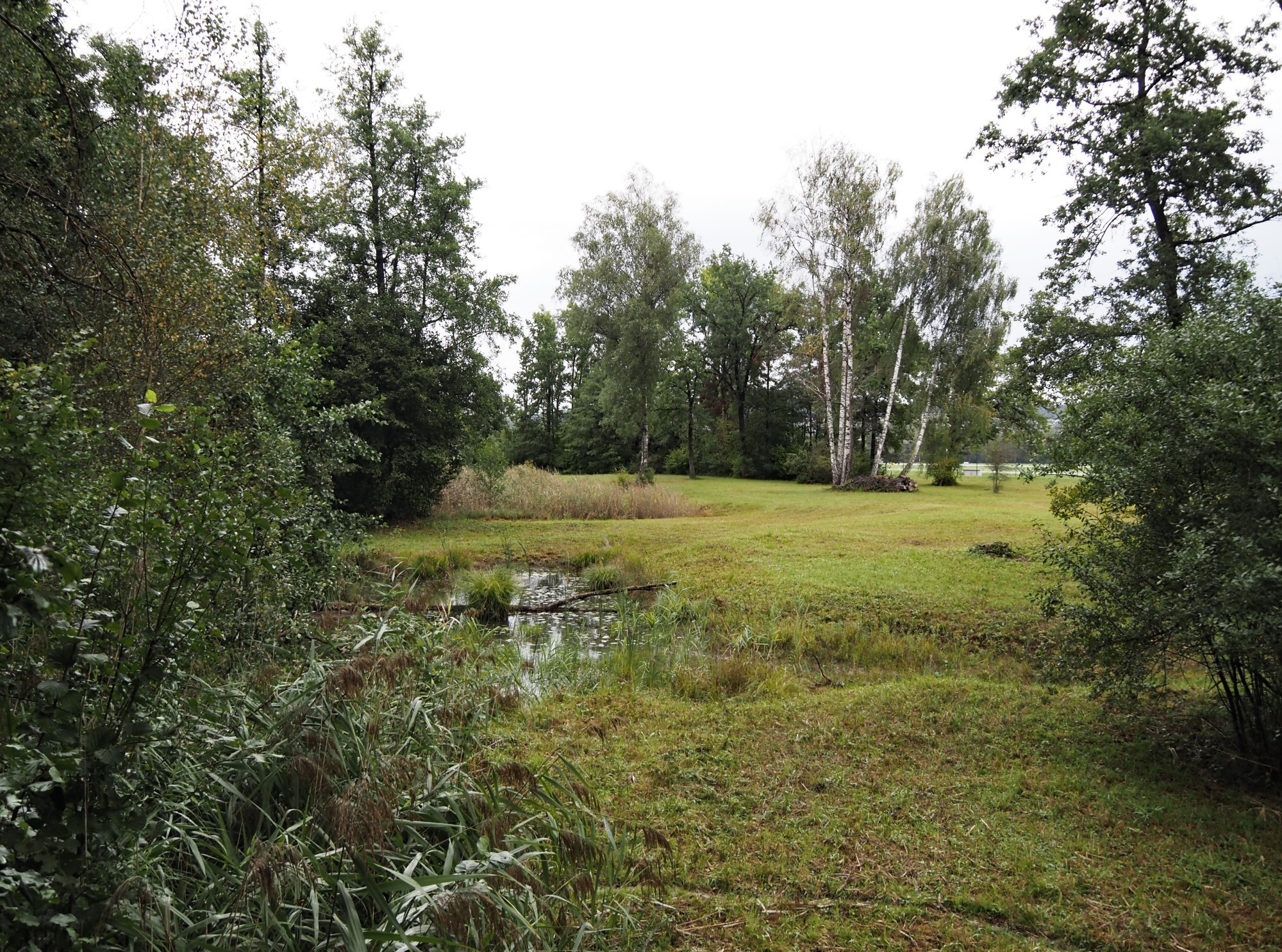 klotener riet 1 - wikicommons - Arkelin