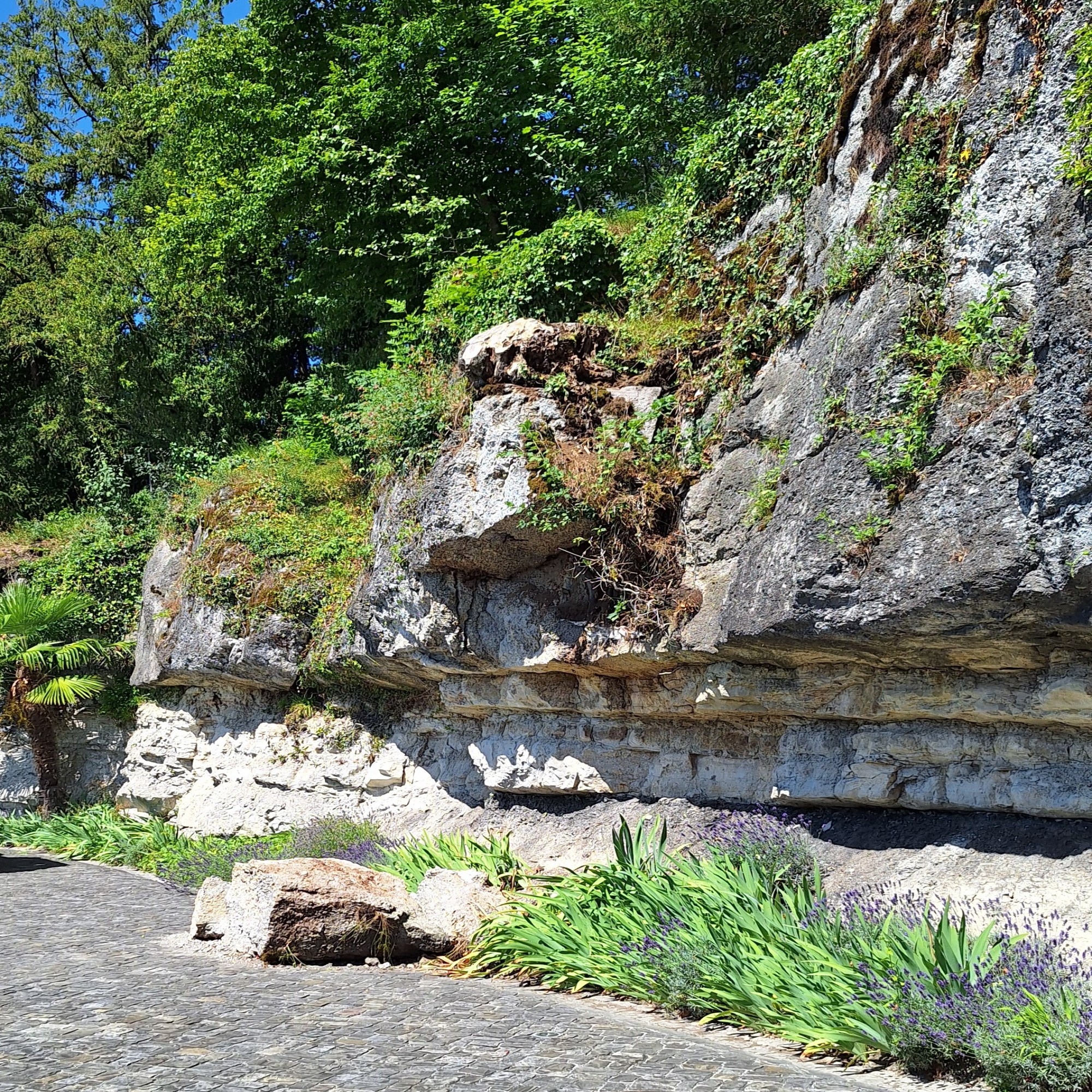 Gesteinsbrocken an Felswand am Gubelstein in Rapperswil-Jona SG