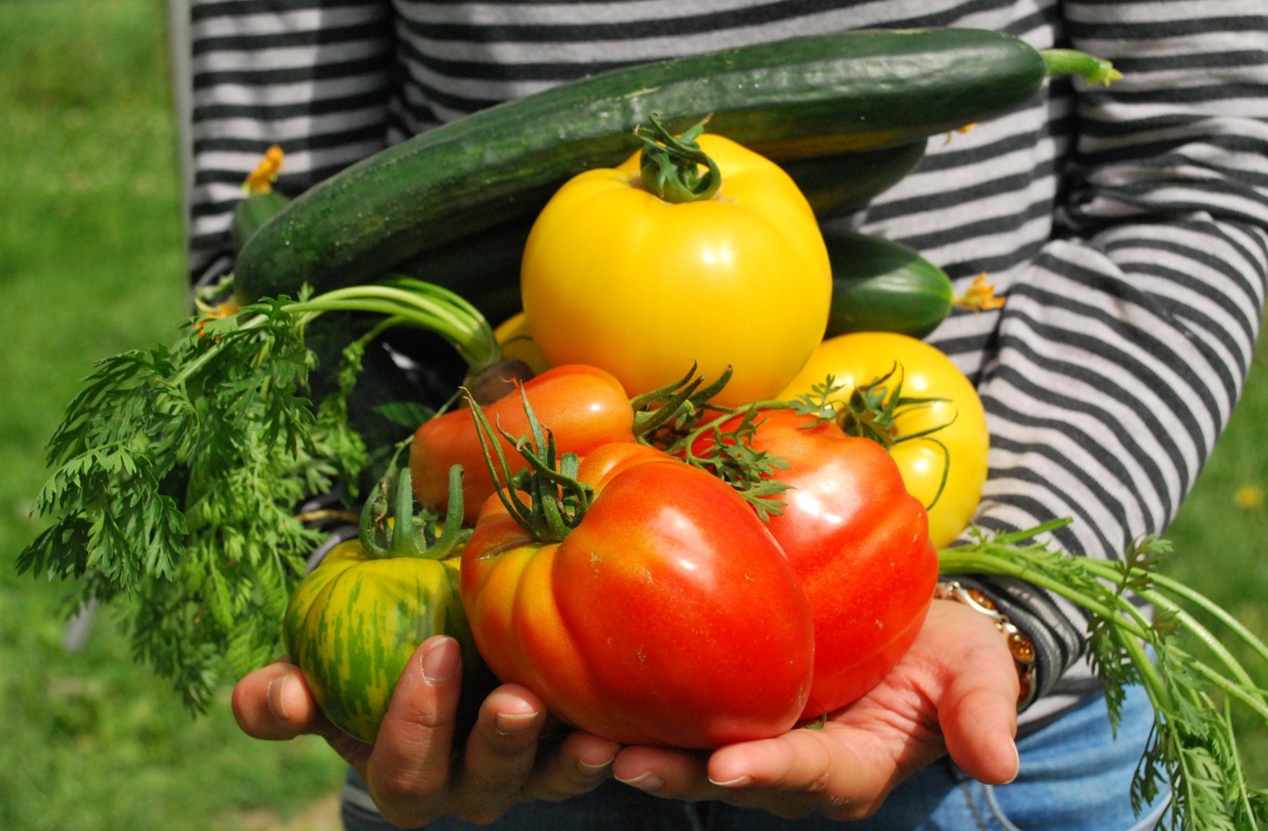 Tomaten und Gurke.