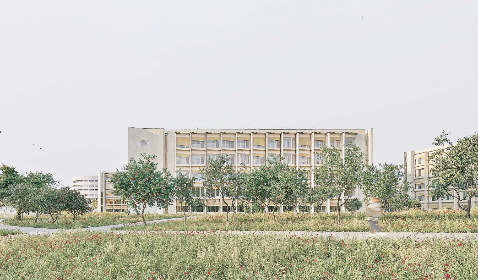 Neubauten der Psychiatrischen Universitätsklinik Zürich
