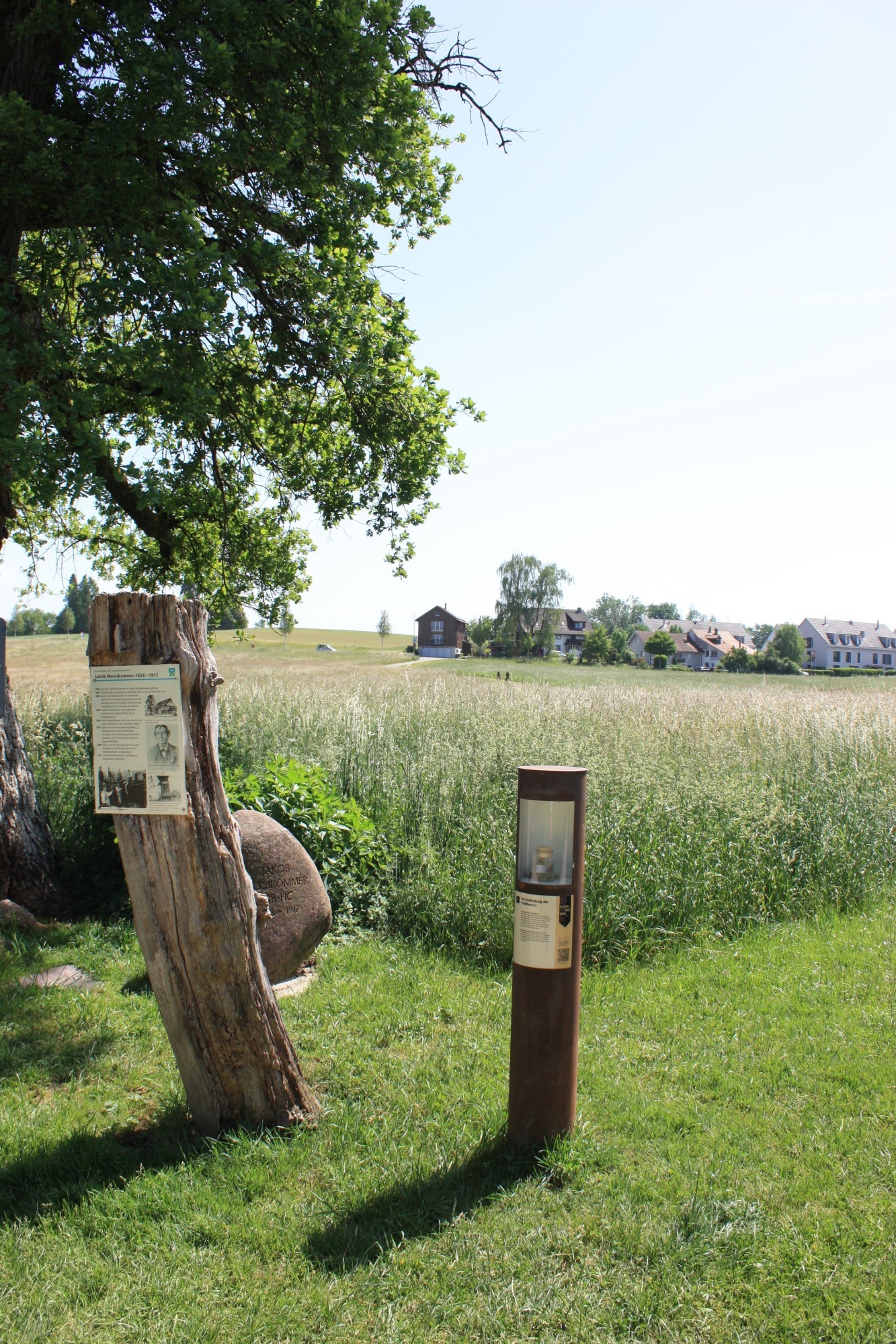 Station 9 des Pfahlbauwegs am Pfäffikersee