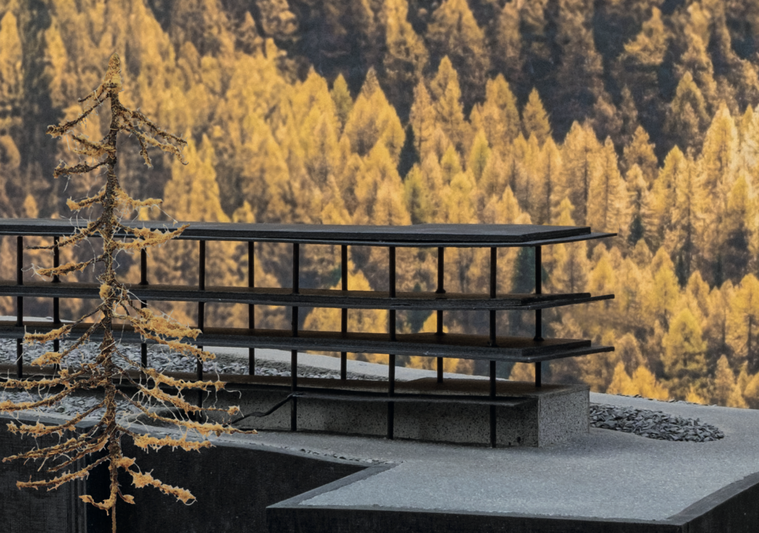 Neubau von Peter Zumthor für Handweberei Tessanda