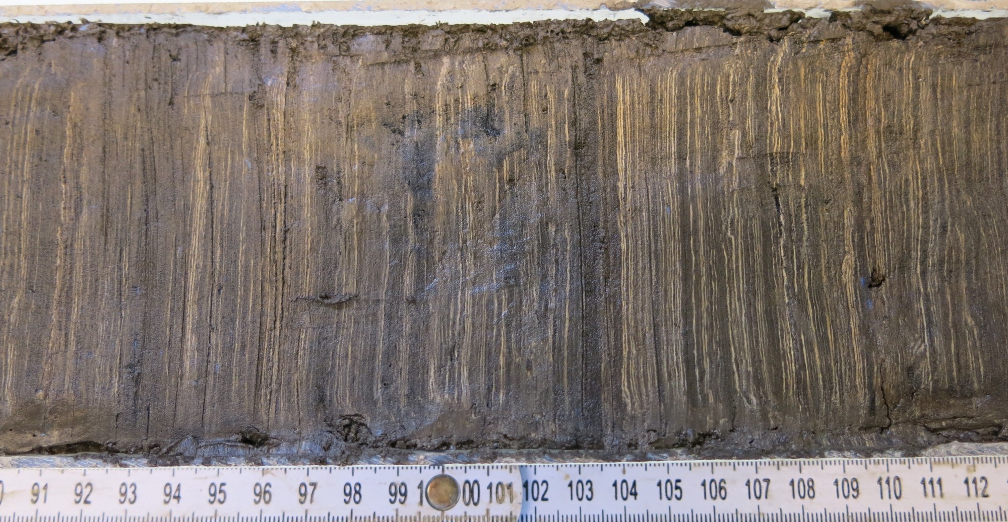 Sedimentstück Moossee Jahresschichten
