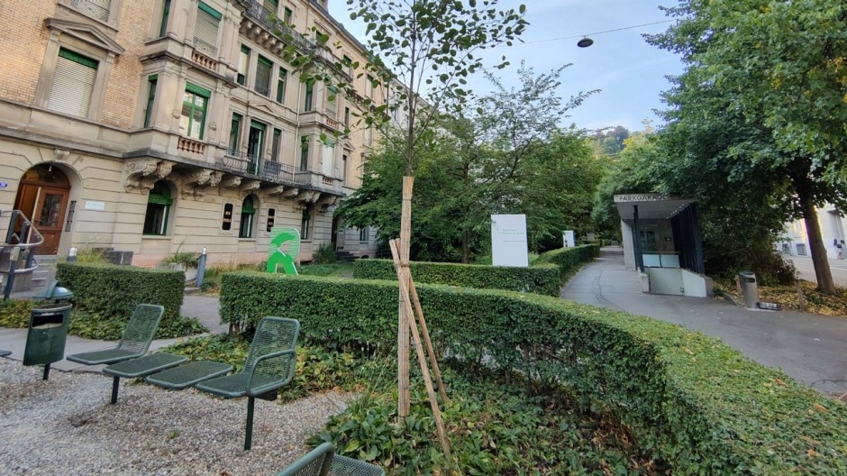 Baumpflanzung in St. Gallen