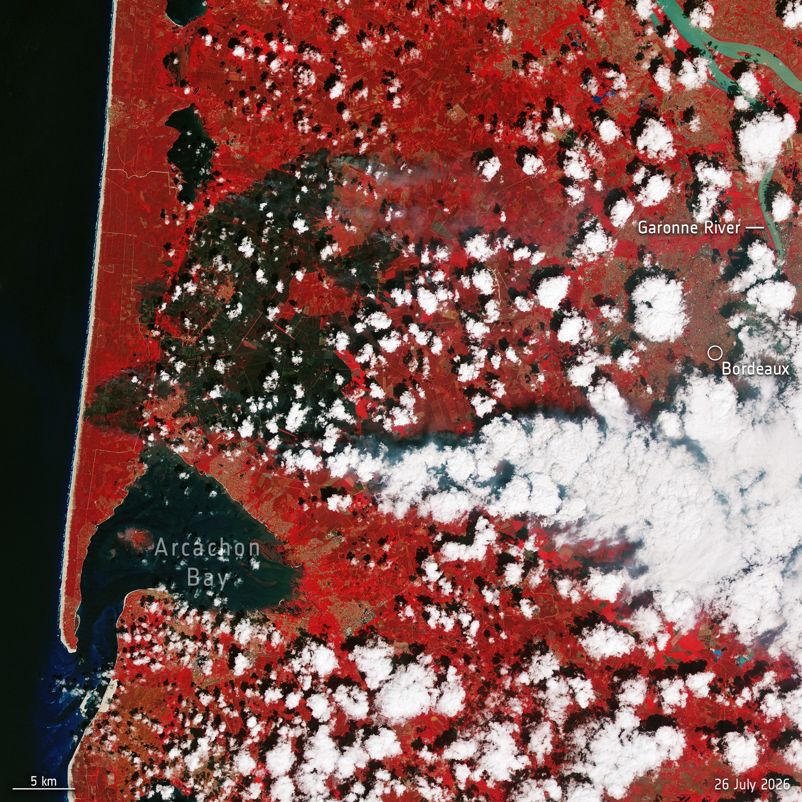 Aufnahme der Copernicus-Sentinel-2-Mission von den Waldbränden bei Bordeaux, 26. Juli 2026.  (Falschfarbenbild)