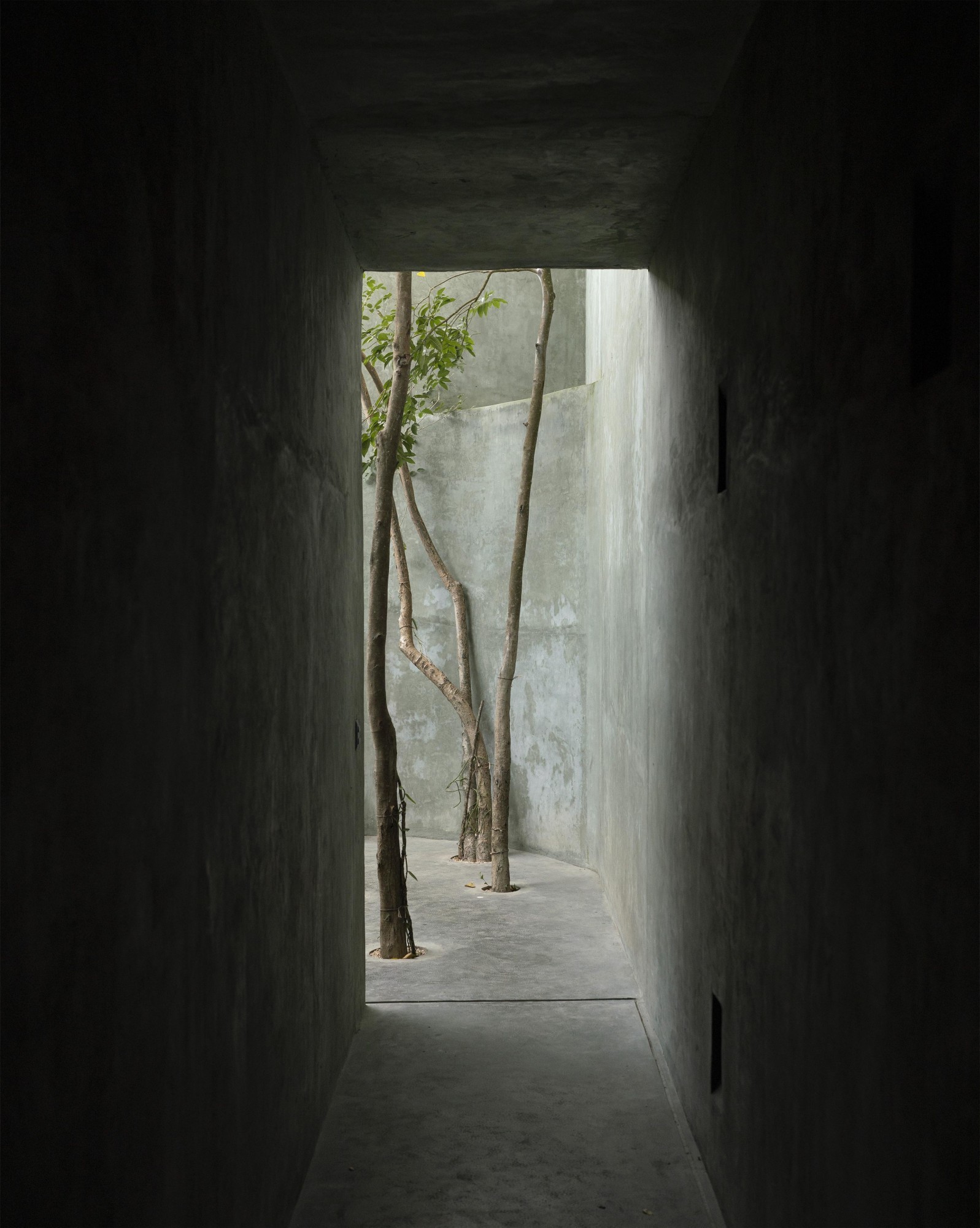 Casa Gruta, Valladolid, Salvador Román & Adela Mortera