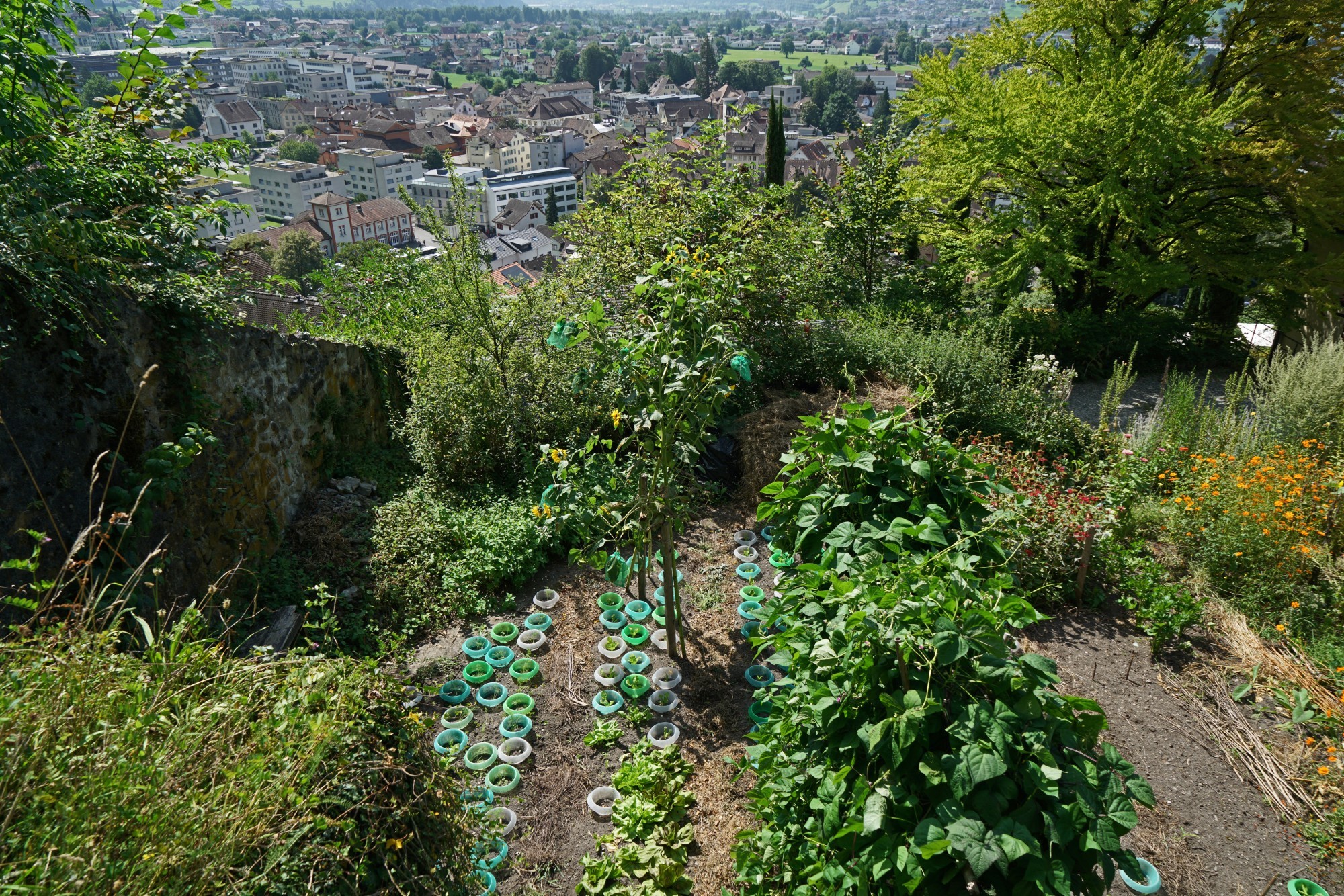 03_Schulthess-Gartenpreis-2026