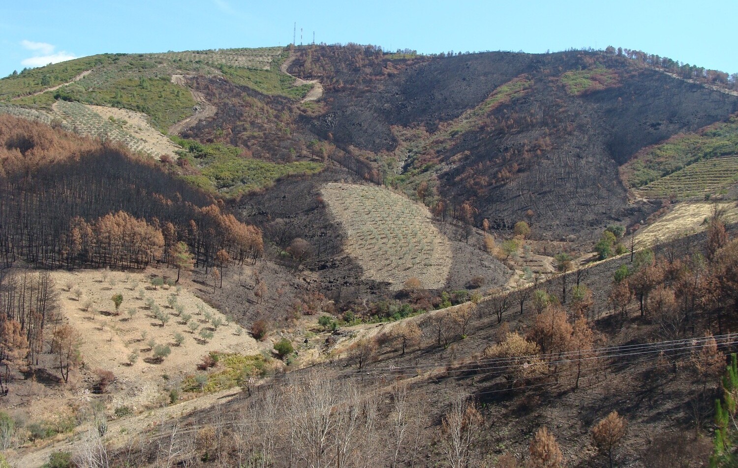 Landschaft in der Extremadura.