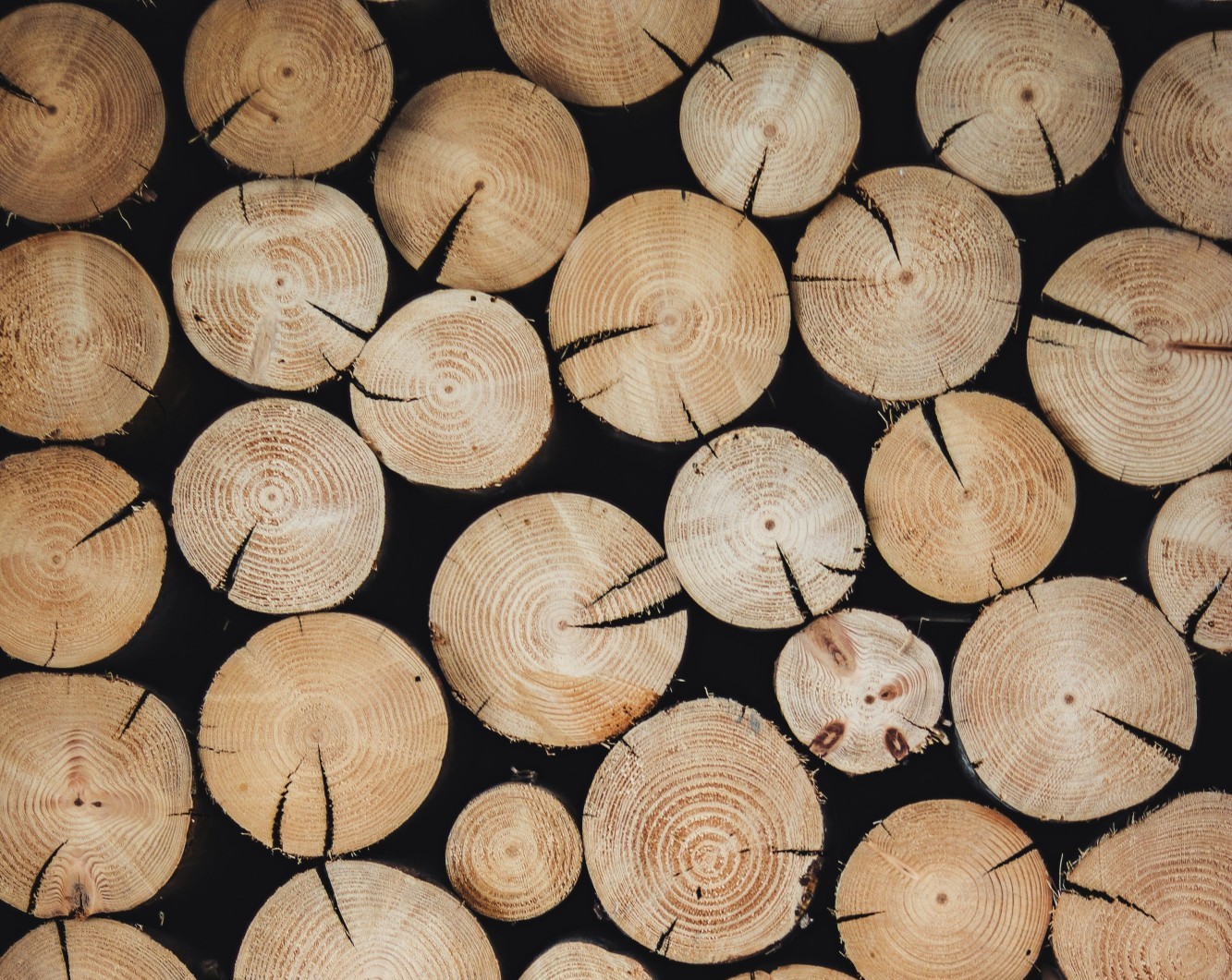Symbolbild_Holz_alexandre-jaquetoni-unsplash_Nur temporär_BisIchBesseresfinde