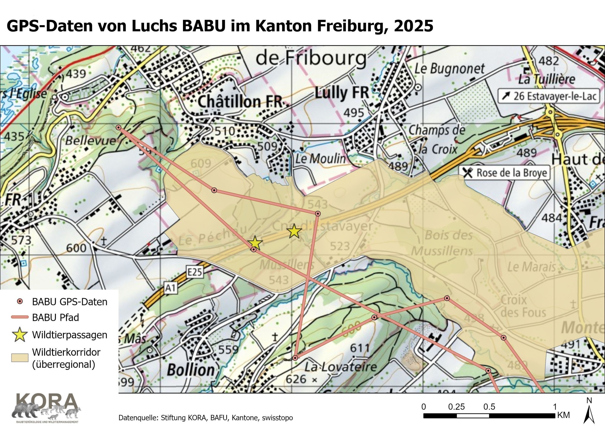 Telemetrie-Senderdaten von Luchs Babu