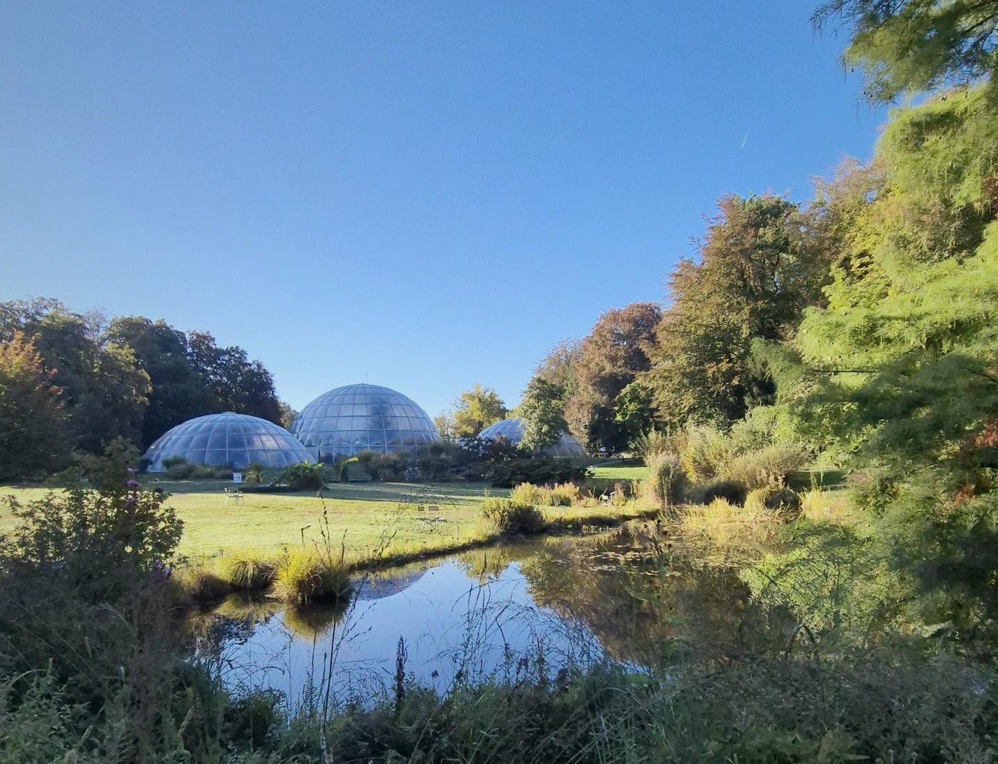 Teich und Gewächshäuser im Botanischen Garten Zürich