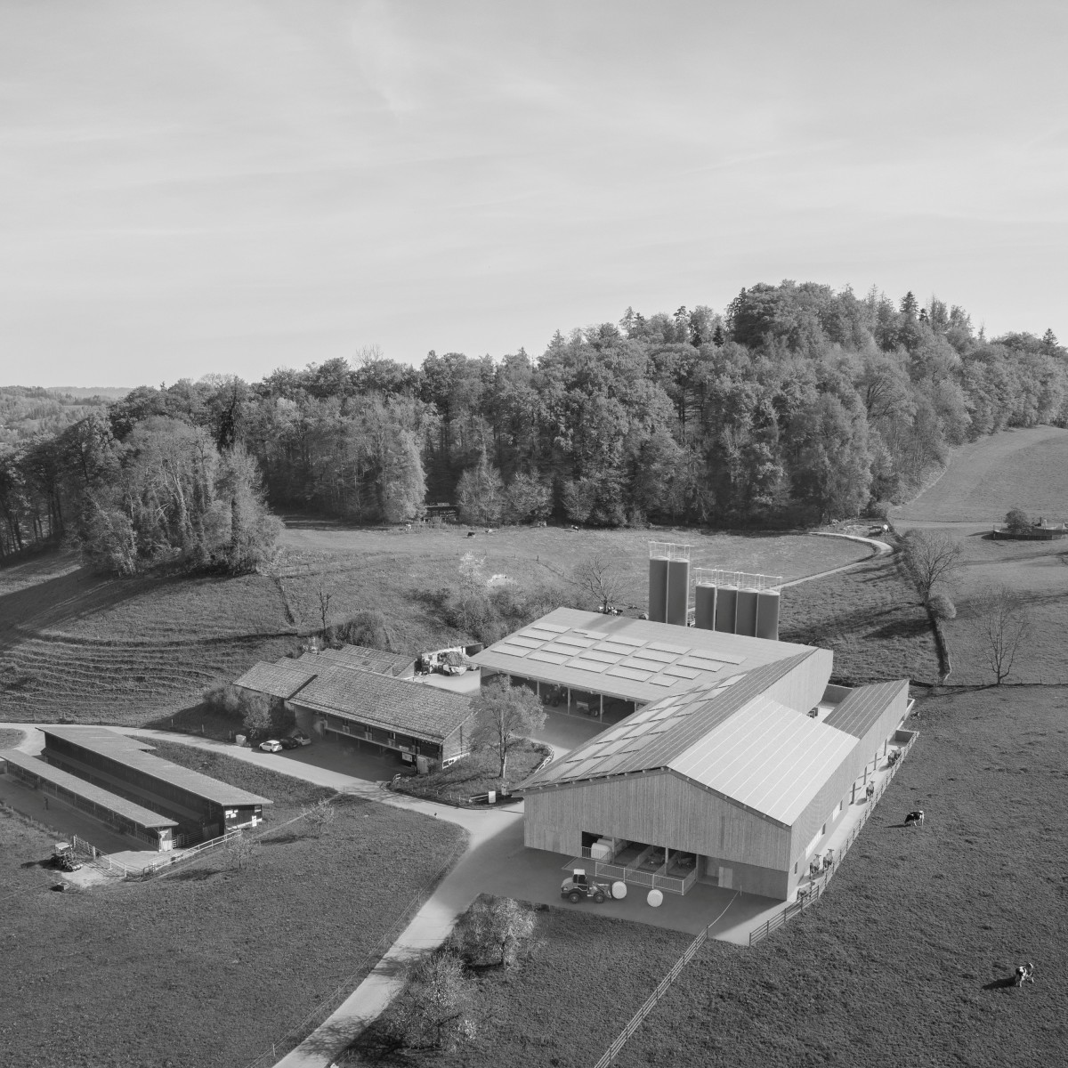 Visualisierung Ausbildungs- und Versuchsbetrieb Landwirtschaftliches Zentrum Liebegg