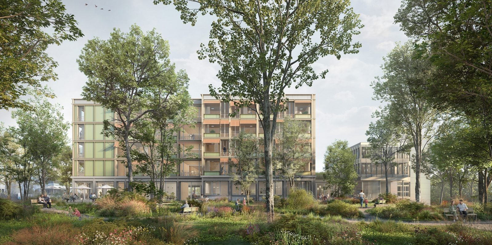 Siegerprojekt für den Mattli Ersatzneubau beim Alp Betagtenzentrum in Emmen