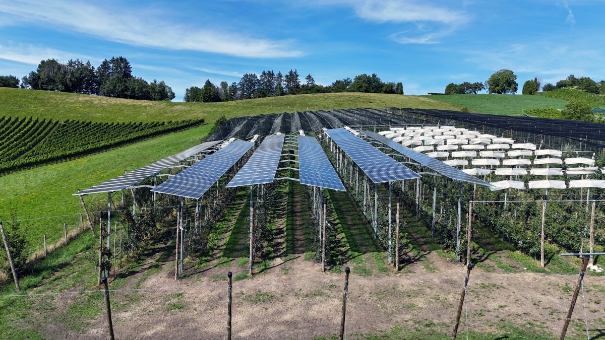 Agri-Solaranlage FiBL in Frick