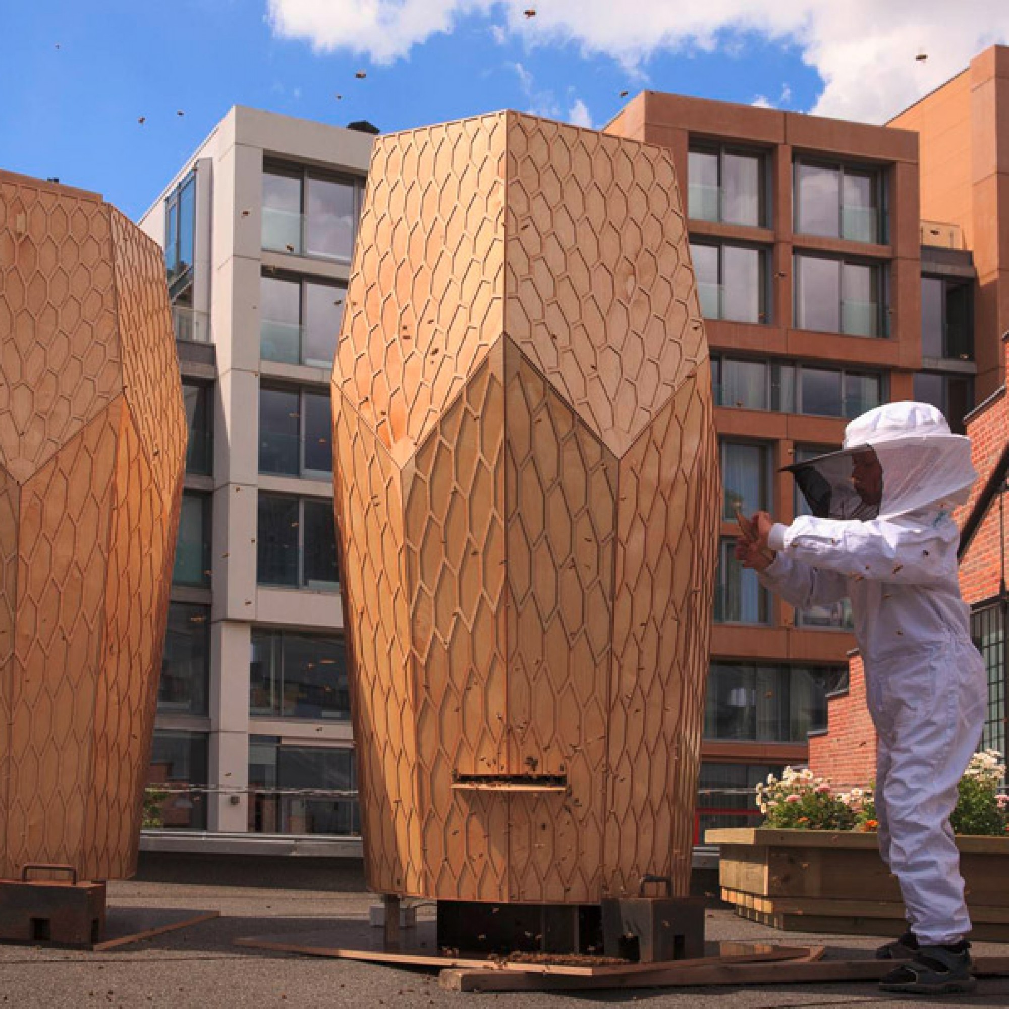 ...und sollen Bienen helfen, sich in der Stadt anzusiedeln. (PD)