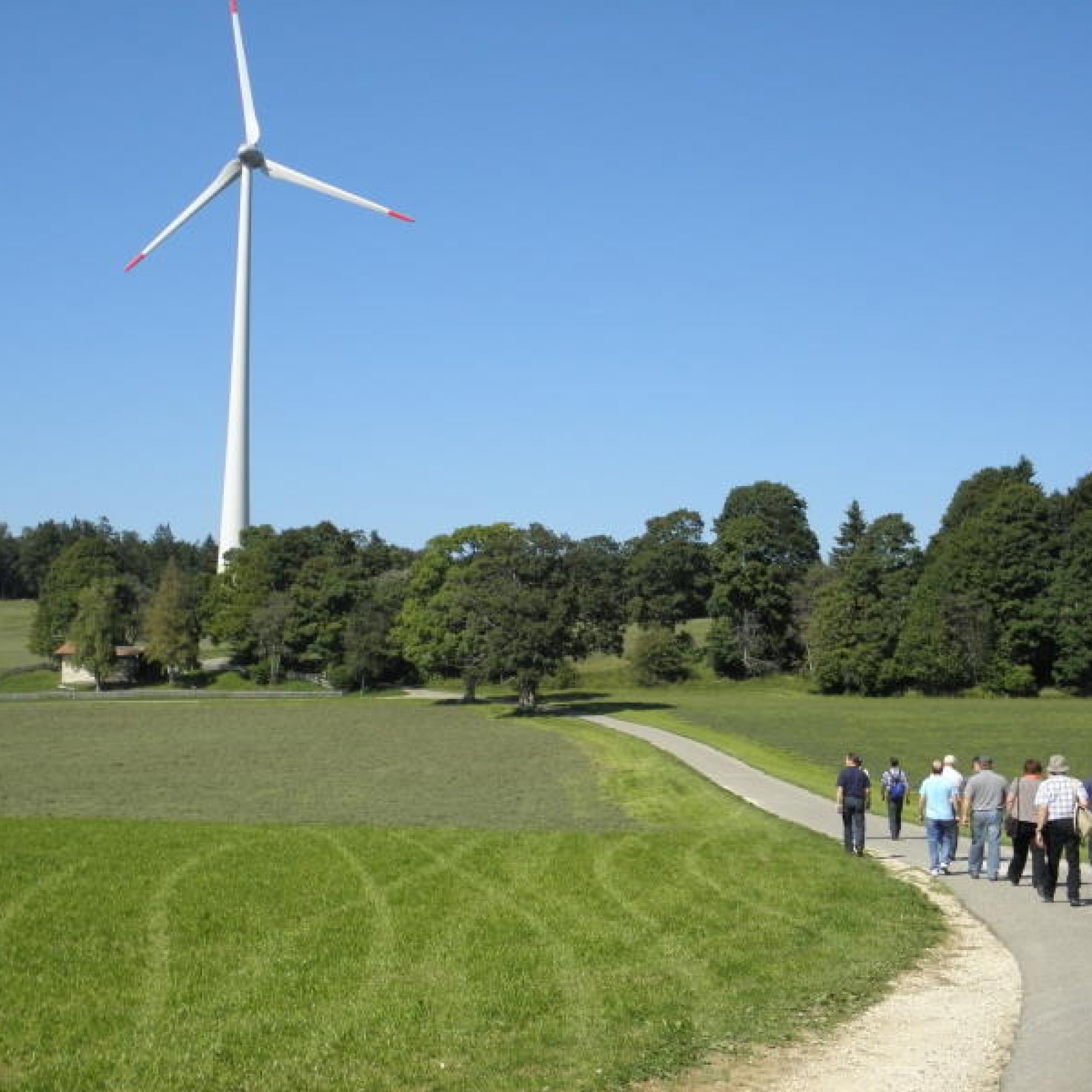 Unter anderem sollen auch beim aargauischen Kienberg sollen Windturbinen errichtet werden. (zvg)