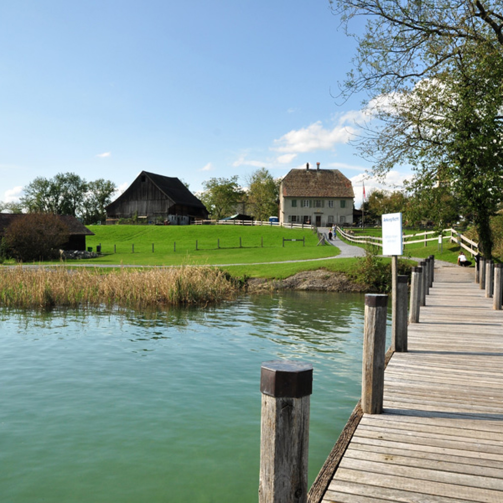 Die Ufenau-Bauten im Jahr 2010: Haus zu den zwei Raben (rechts), Scheune und Schuppen sowie das inzwischen erneuerte Bootshaus (vorne) (wikimedia.org, Roland zh, CC)