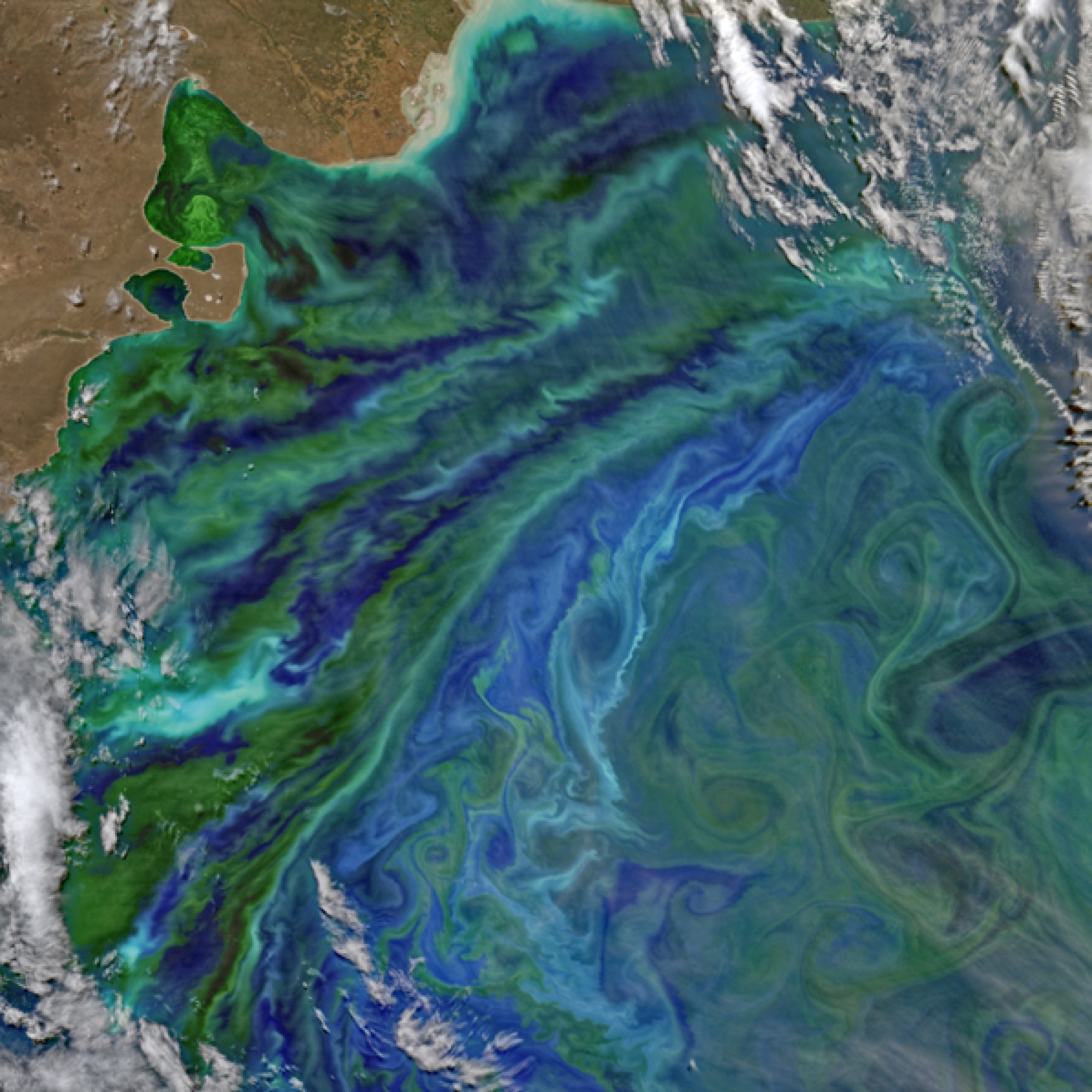 Patagonische Küste. (Nasa)