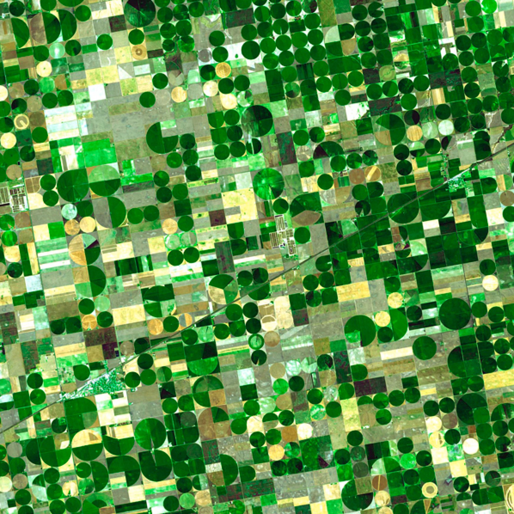 Vasarely lässt grüssen: Die Felder im Südwesten des US-Bundesstaats Kansas erinnern aus dem Orbit an Op Art. (Nasa)