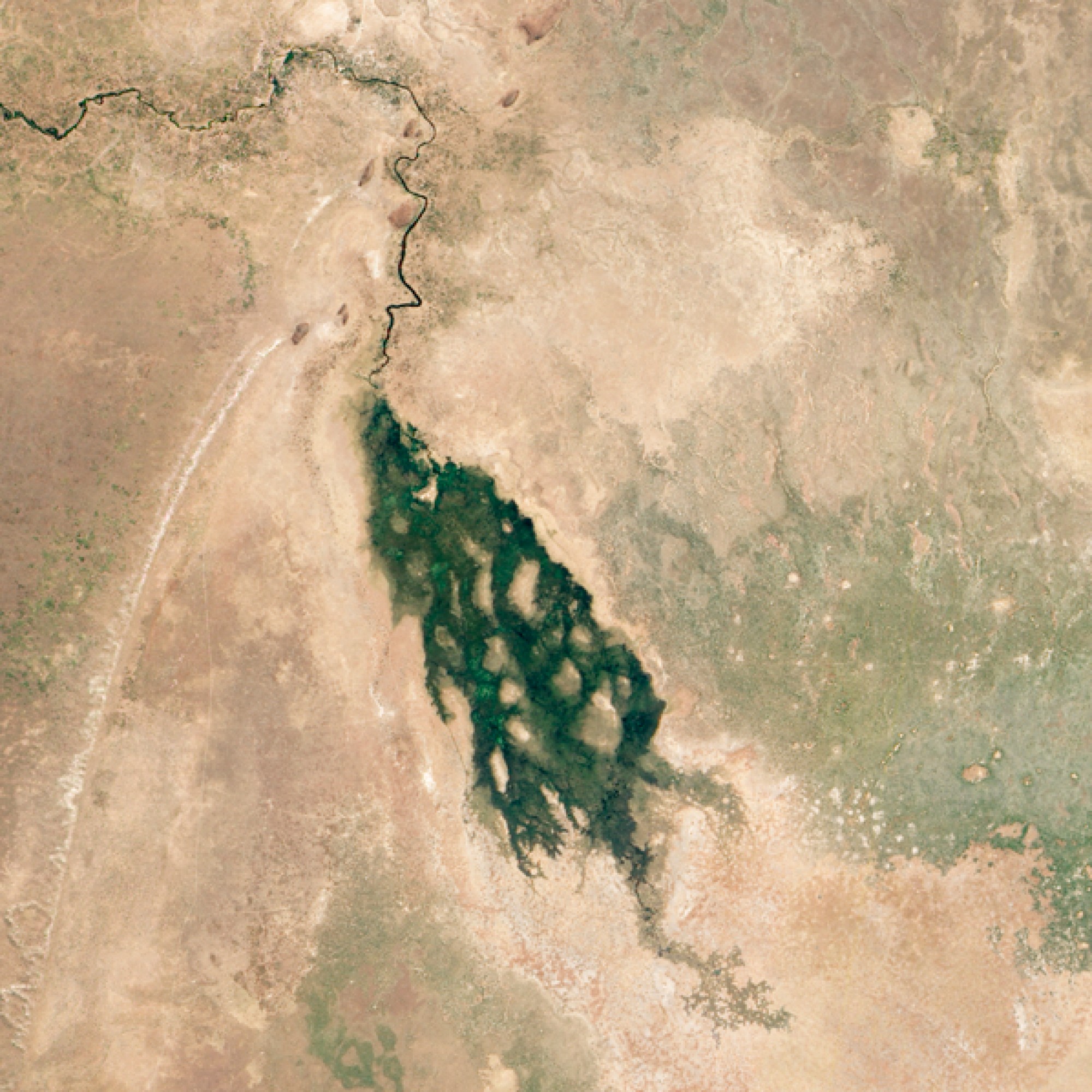 Ein grünes Juwel mitten in der Kalahari-Wüste: das Okavango-Delta. (Nasa)