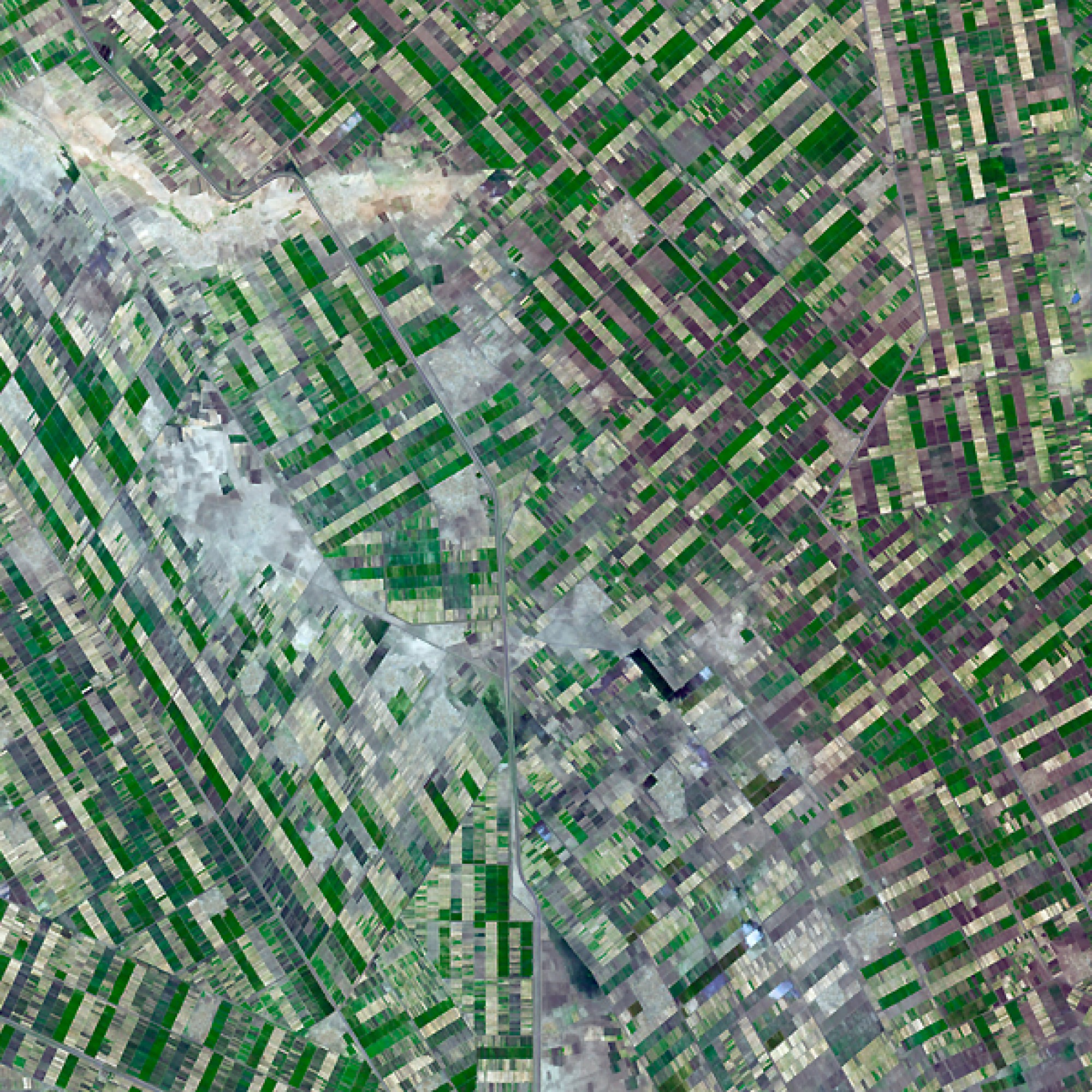 Was wie ein Riesenteppich aussieht, sind Felder im Süden von  Khartoum, im Sudan. (Nasa)