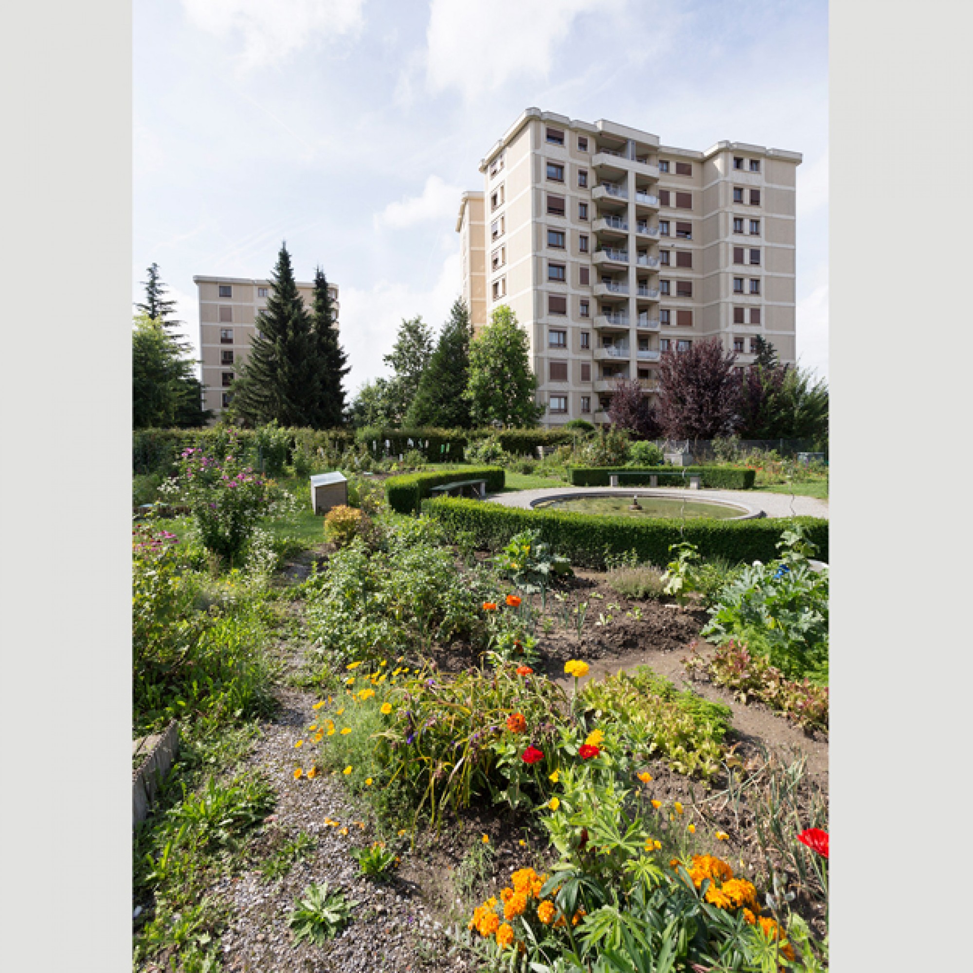 in der Plantage du Désert.  (Schweizer Heimatschutz) 