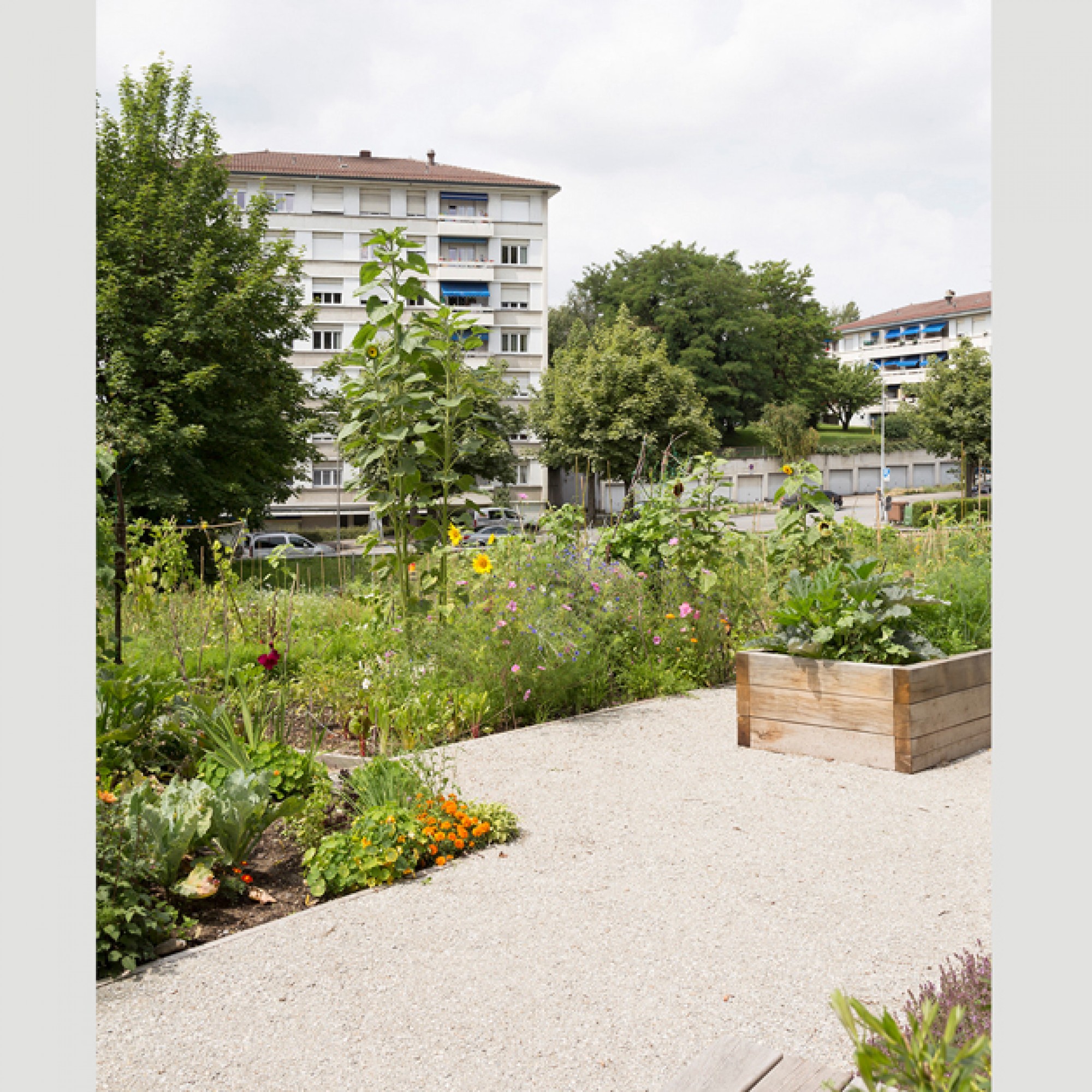 Hochbeete, wie in der Plantage Valency, sollen auch weniger mobilen Hobbygärtnern ermöglichen, sich an eigenem Gemüse zu erfreuen. (Schweizer Heimatschutz)  