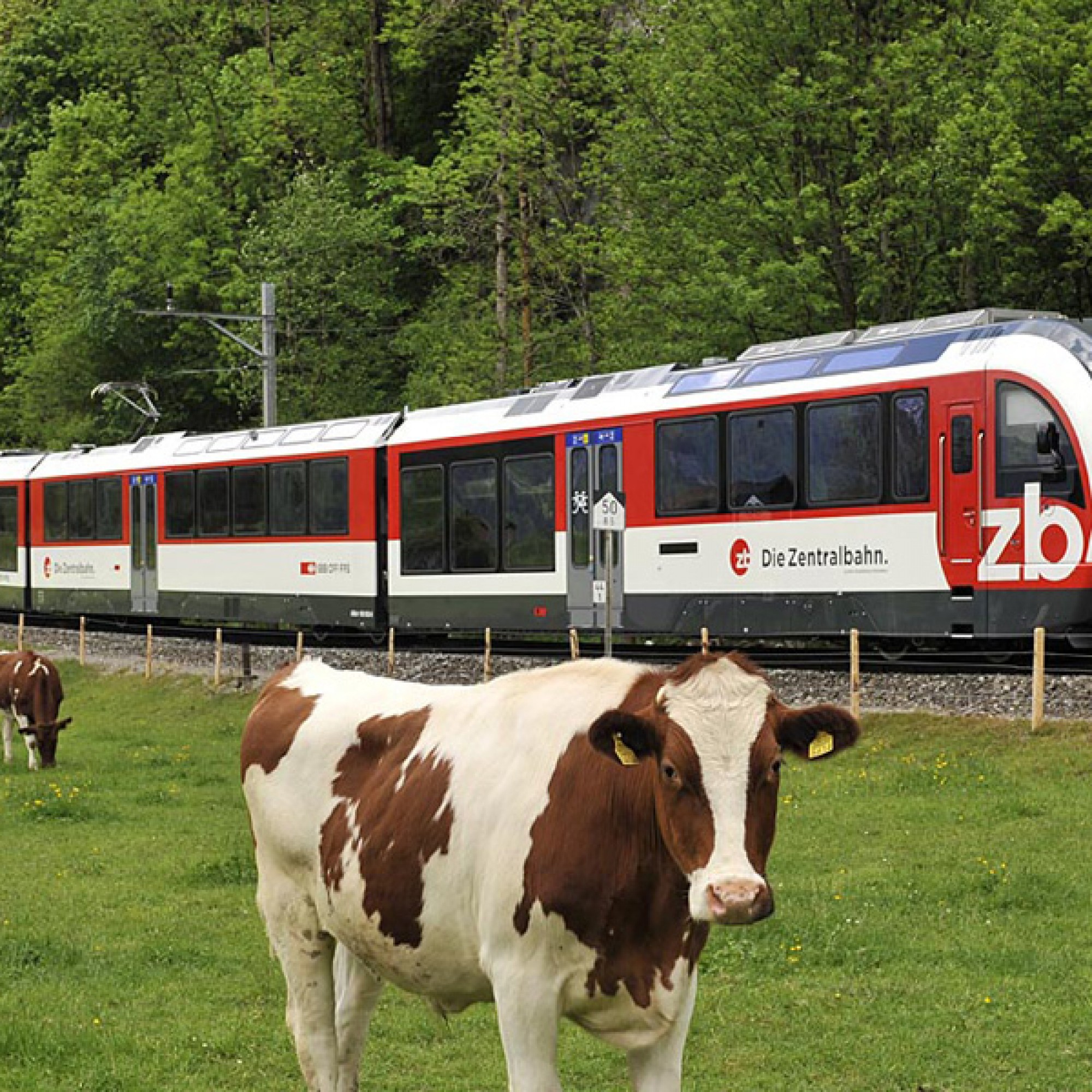 Die Zentralbahn (zvg)