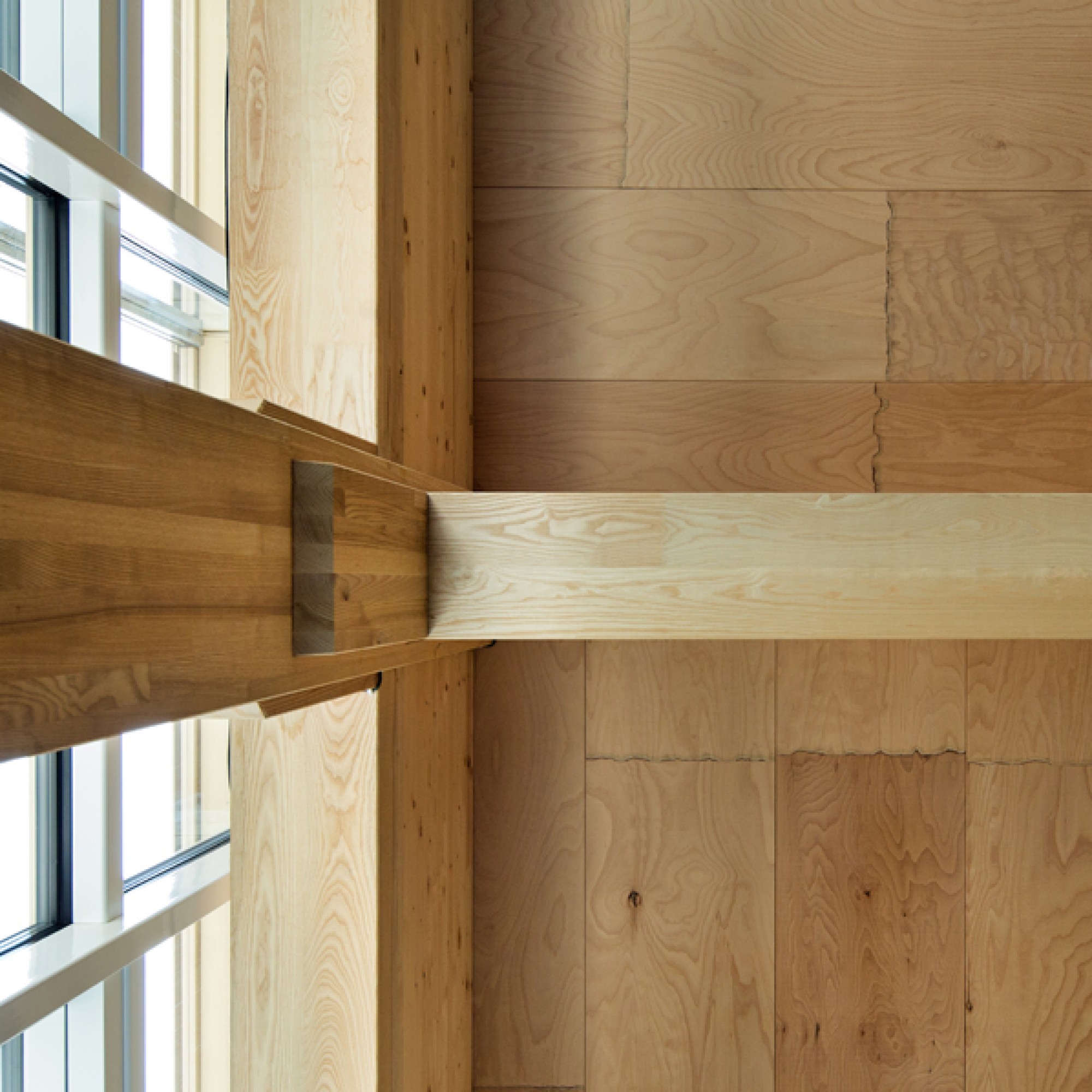 Holz-Beton-Verbunddecke und vorgespannten Rahmenkonstruktion von unten. (ETH Zürich/Marco Carocari)