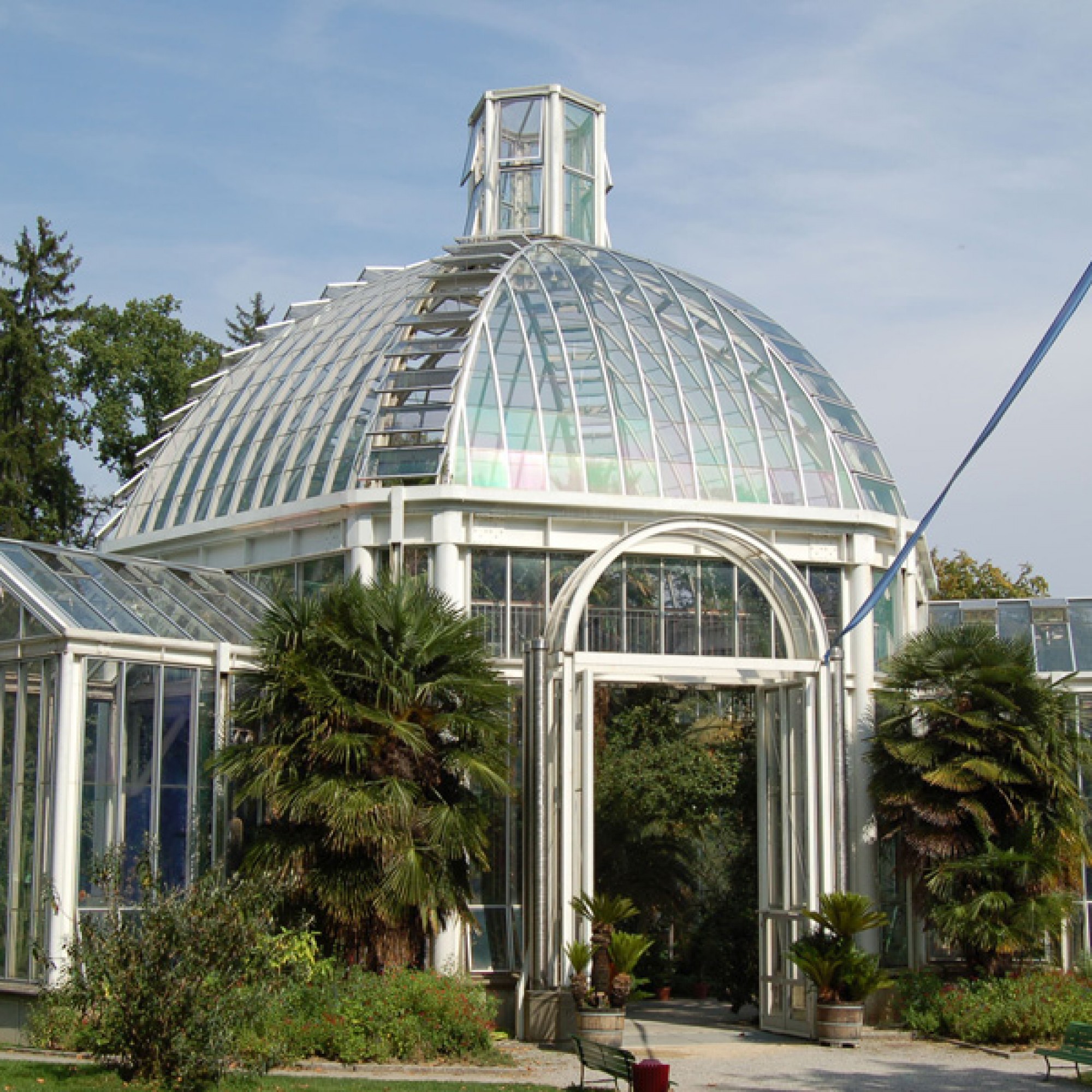 Palmenhaus in Genfs botanischem Garten (Norbert Aepli, CC BY 2.5, wikimedia.org)